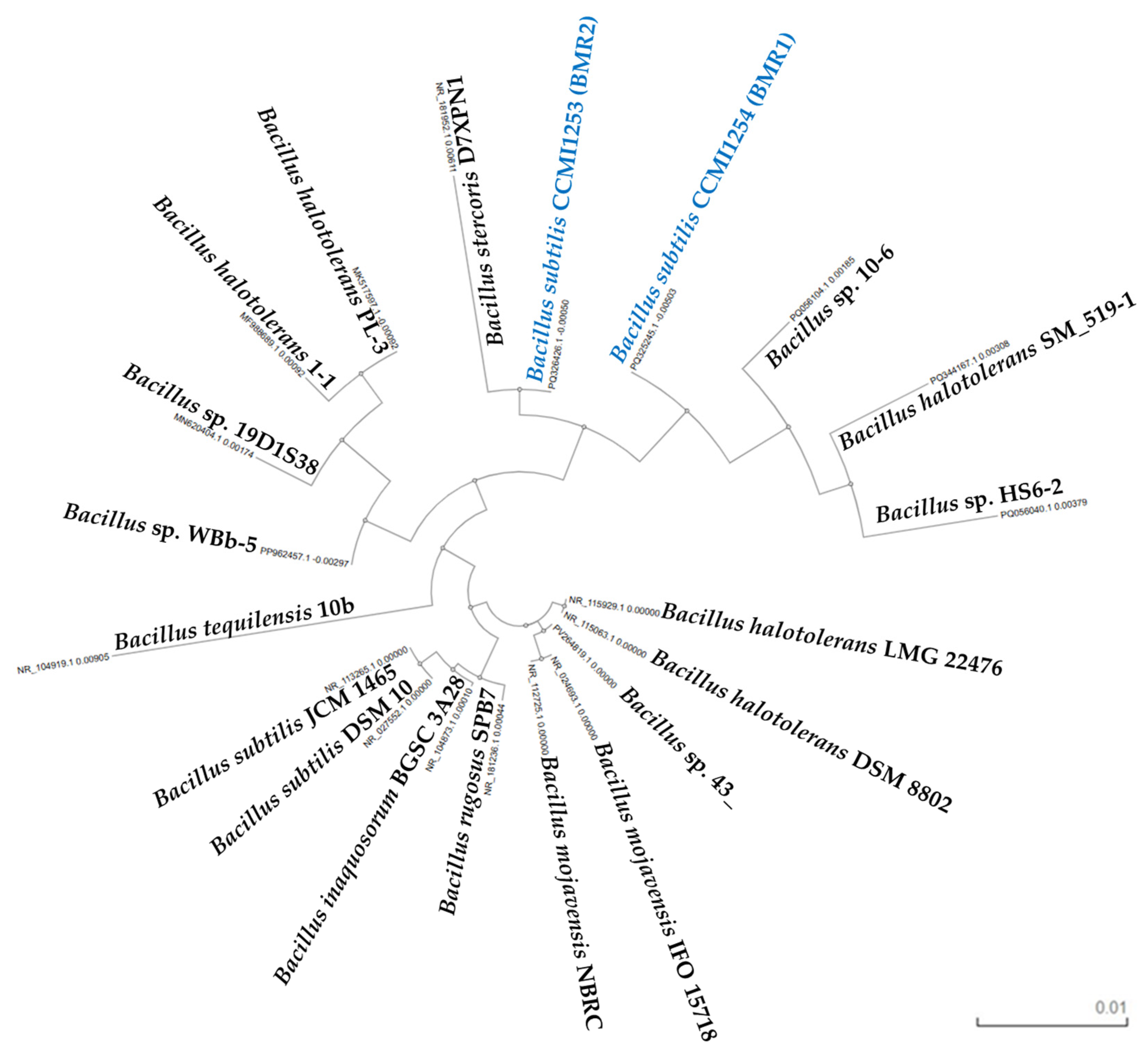 Molecules 30 03632 g005 Molecules 30 03632 g005
