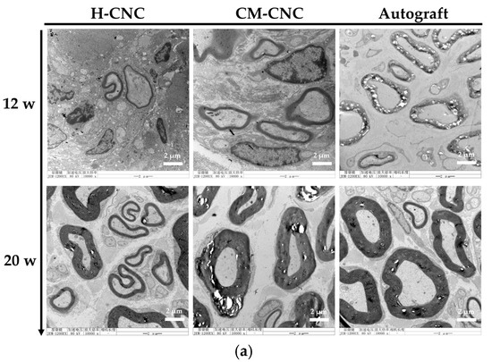 Molecules 30 03659 g007a Molecules 30 03659 g007a