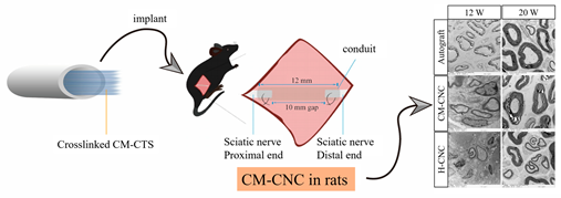 Molecules 30 03659 i001 Molecules 30 03659 i001
