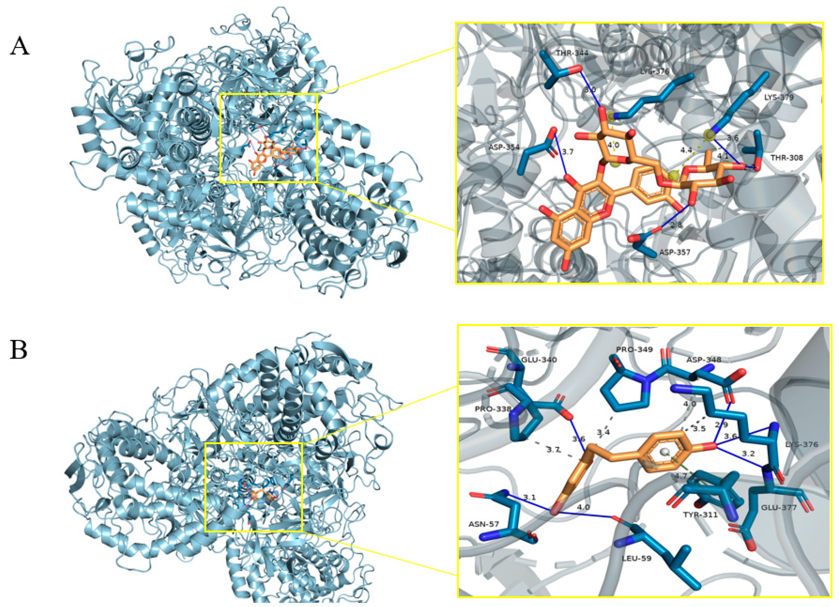Molecules 30 03661 g005