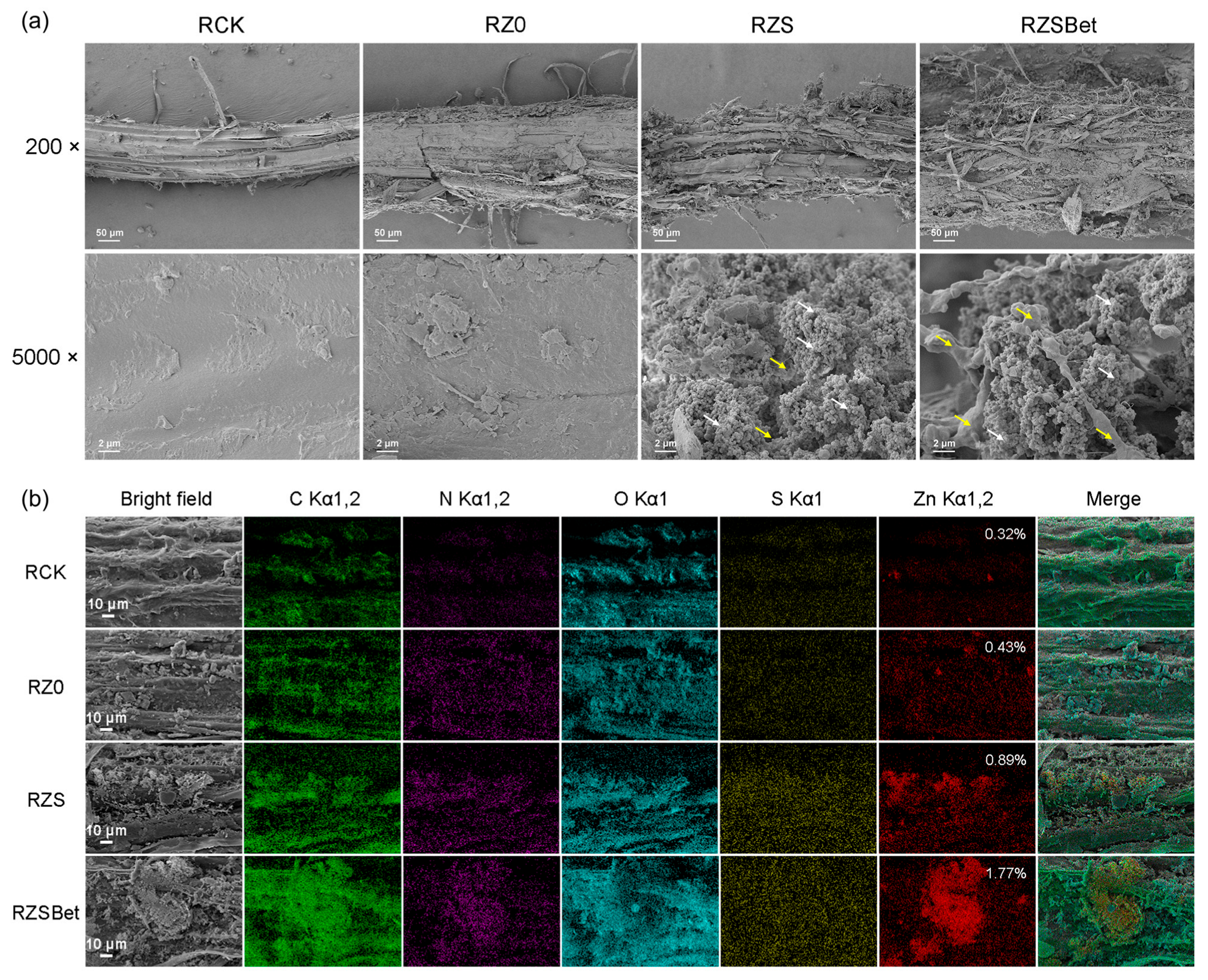 Molecules 30 03669 g003 Molecules 30 03669 g003