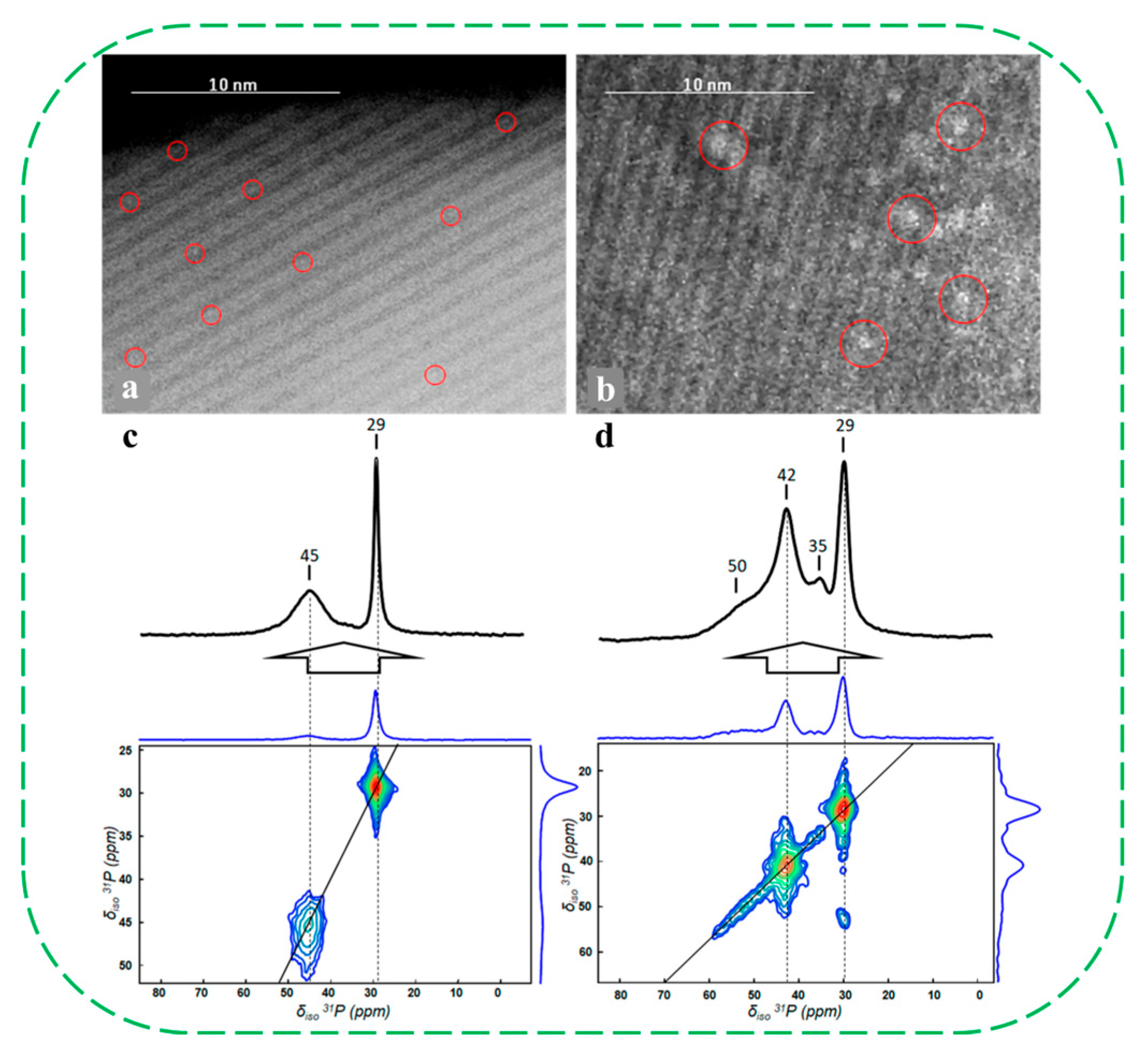 Molecules 30 03670 g010 Molecules 30 03670 g010