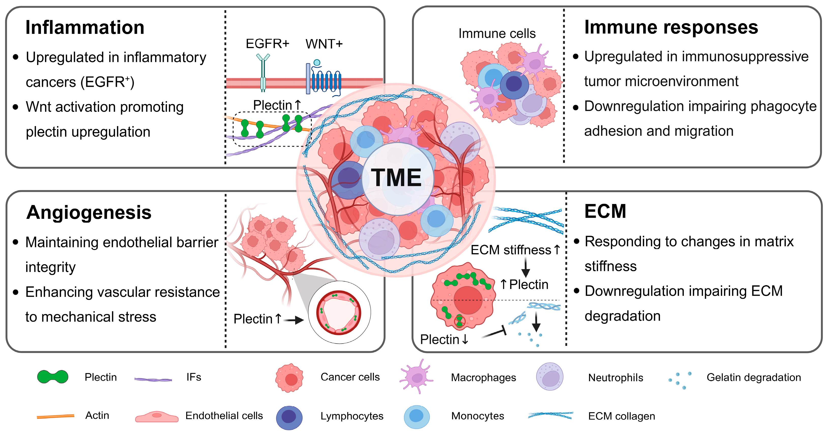 Molecules 30 03675 g002 Molecules 30 03675 g002