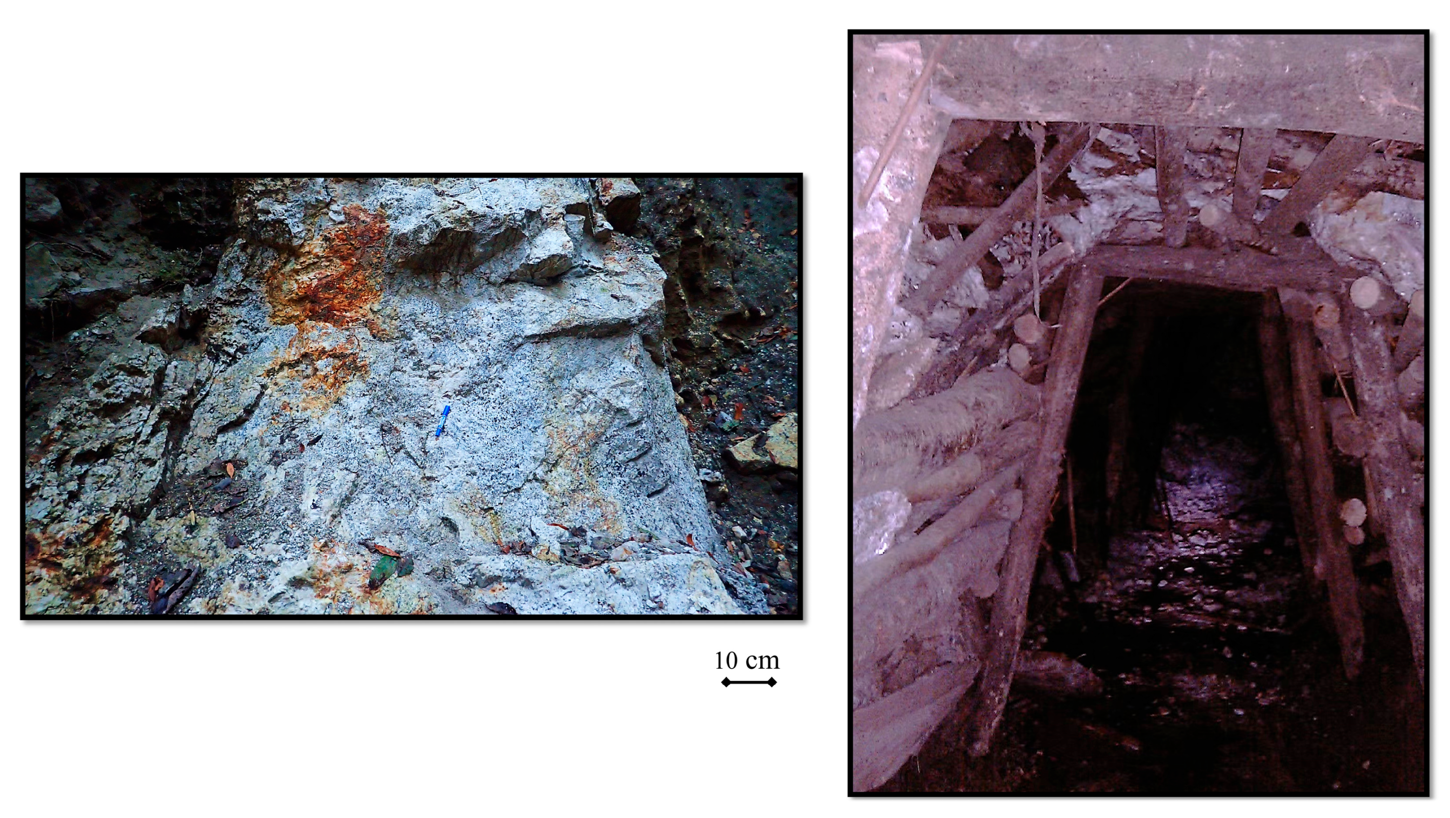 Molecules 30 03680 g003