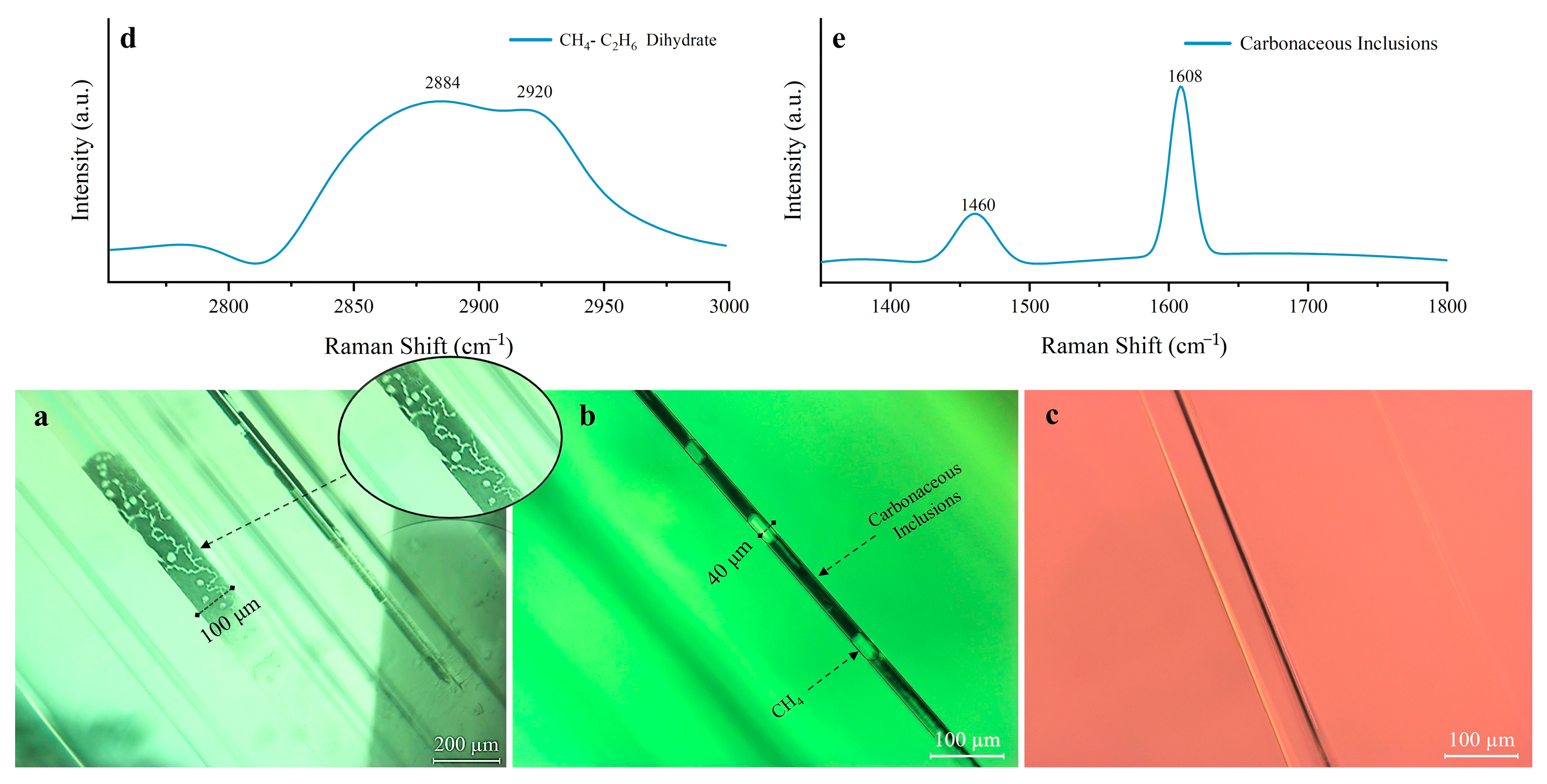 Molecules 30 03680 g004