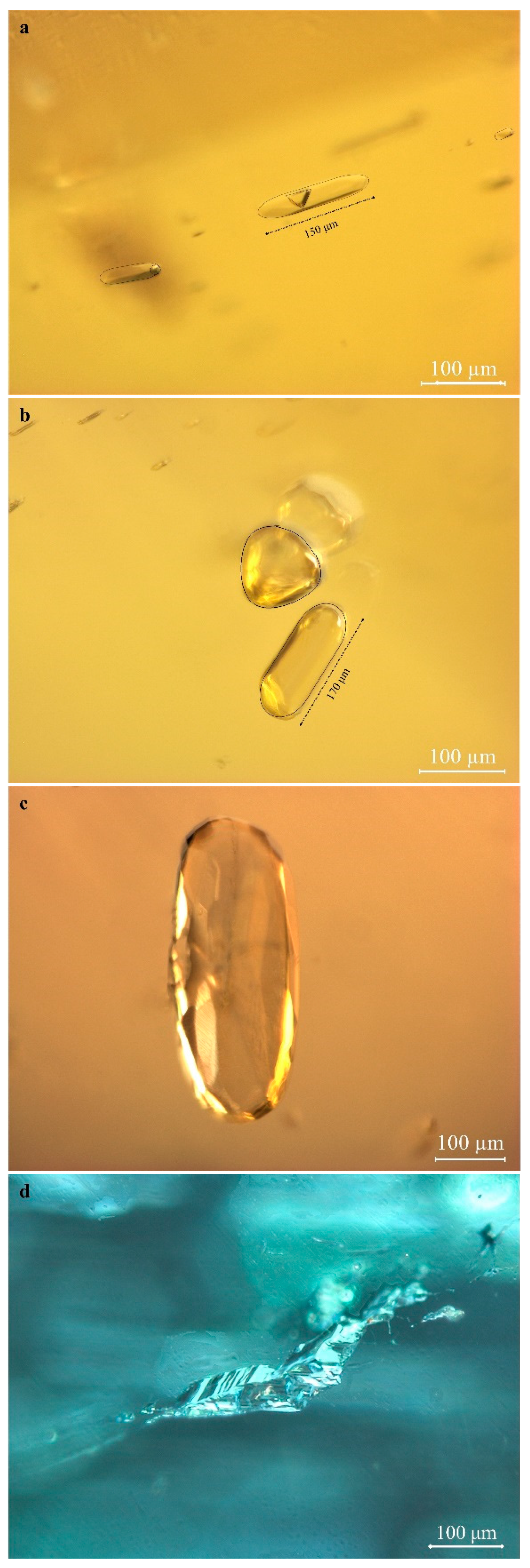 Molecules 30 03680 g005
