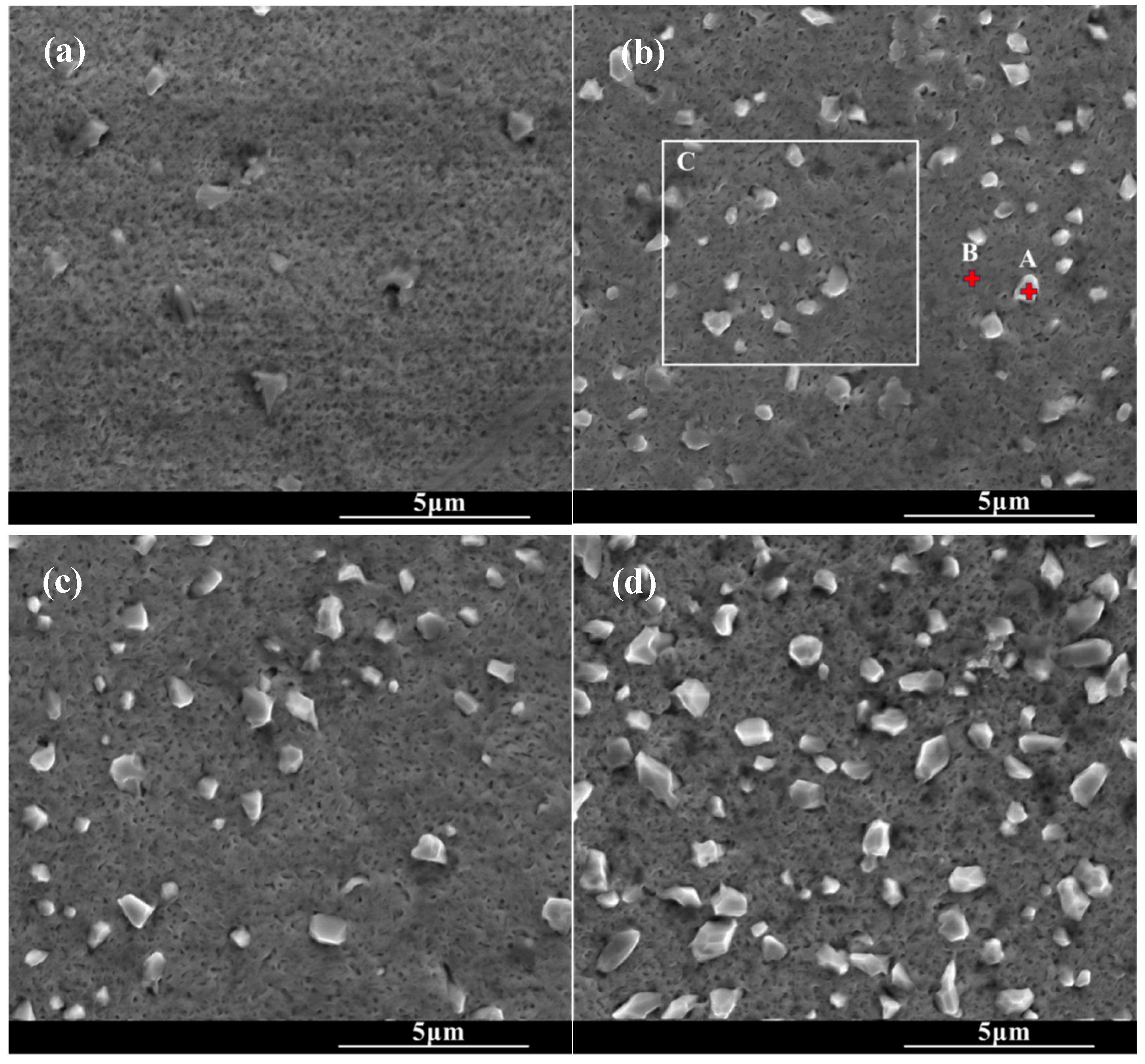 Molecules 30 03690 g002