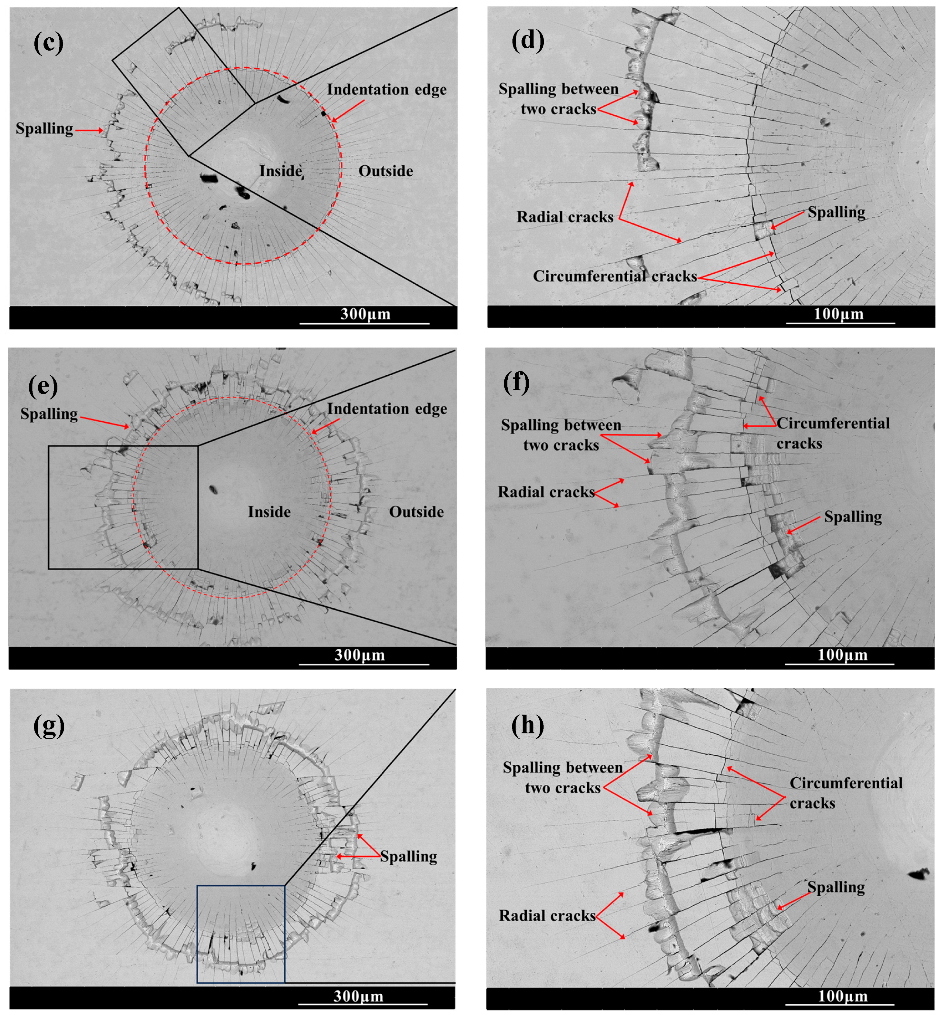 Molecules 30 03690 g006b