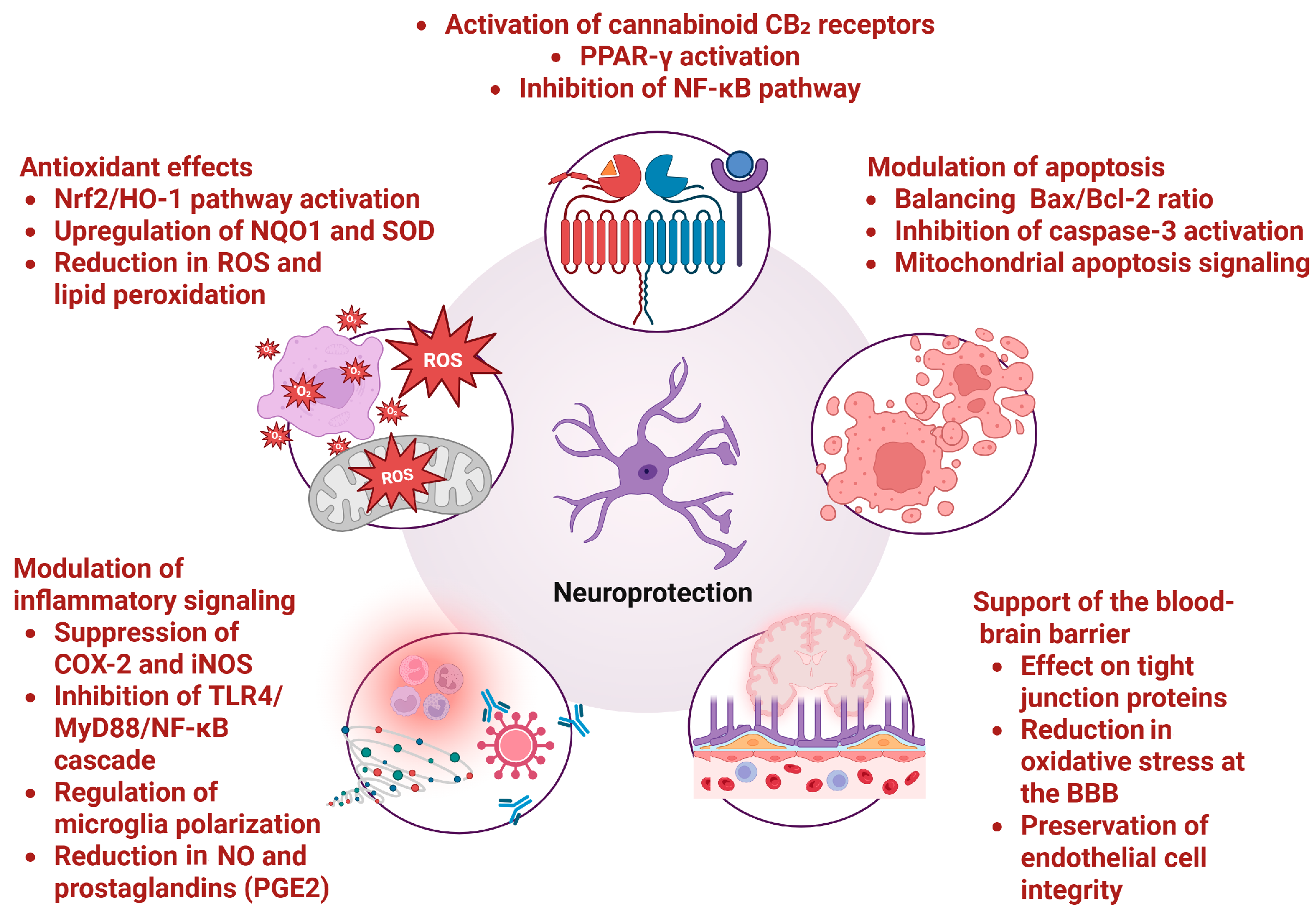 Molecules 30 03702 g002