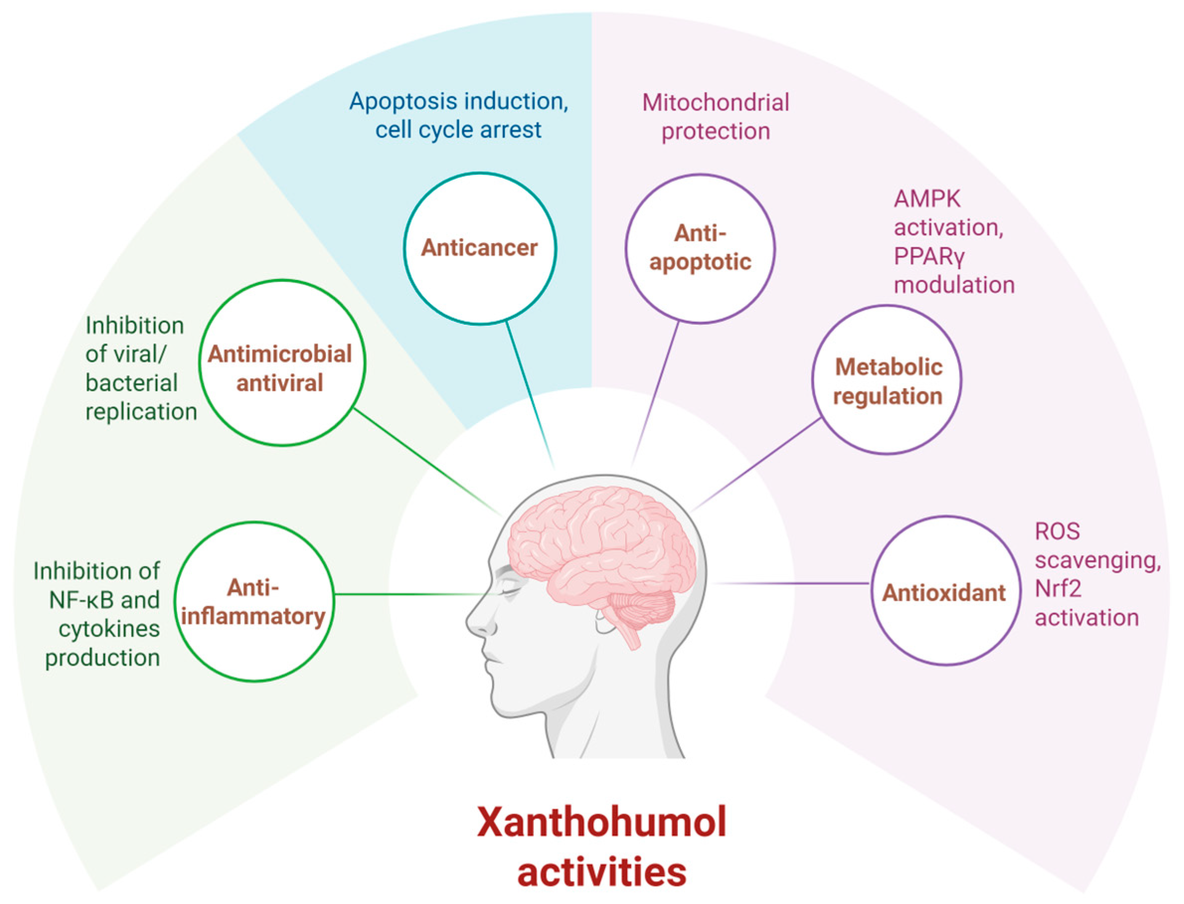 Molecules 30 03702 g004