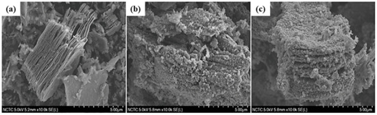 Molecules 30 03712 g002