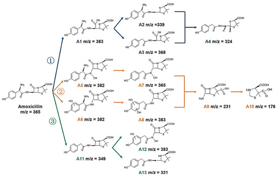 Molecules 30 03712 g008
