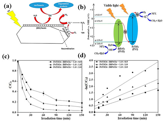 Molecules 30 03712 g011