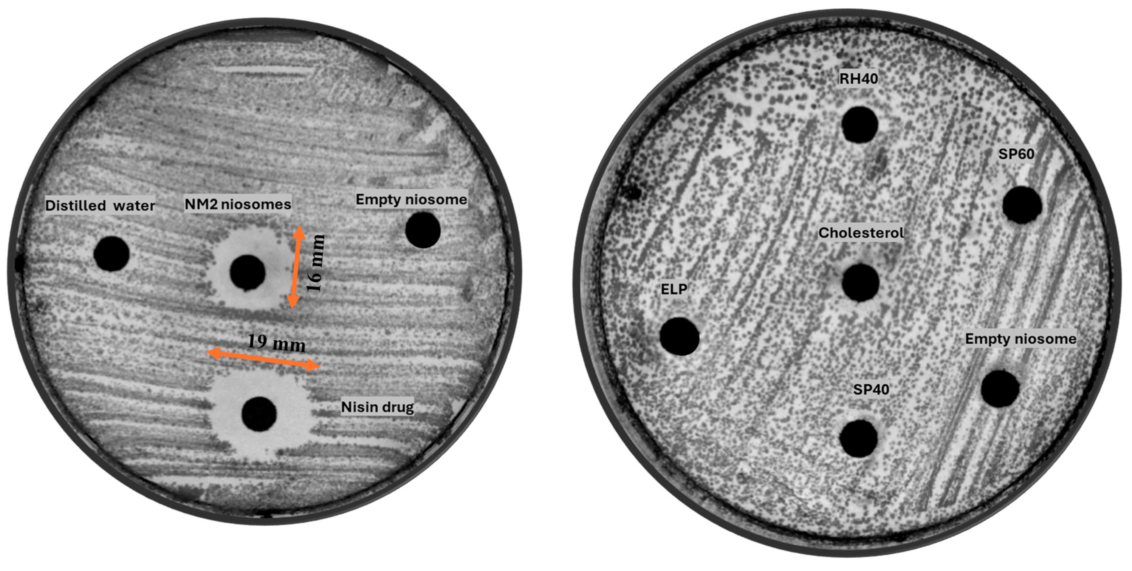 Molecules 30 03715 g004