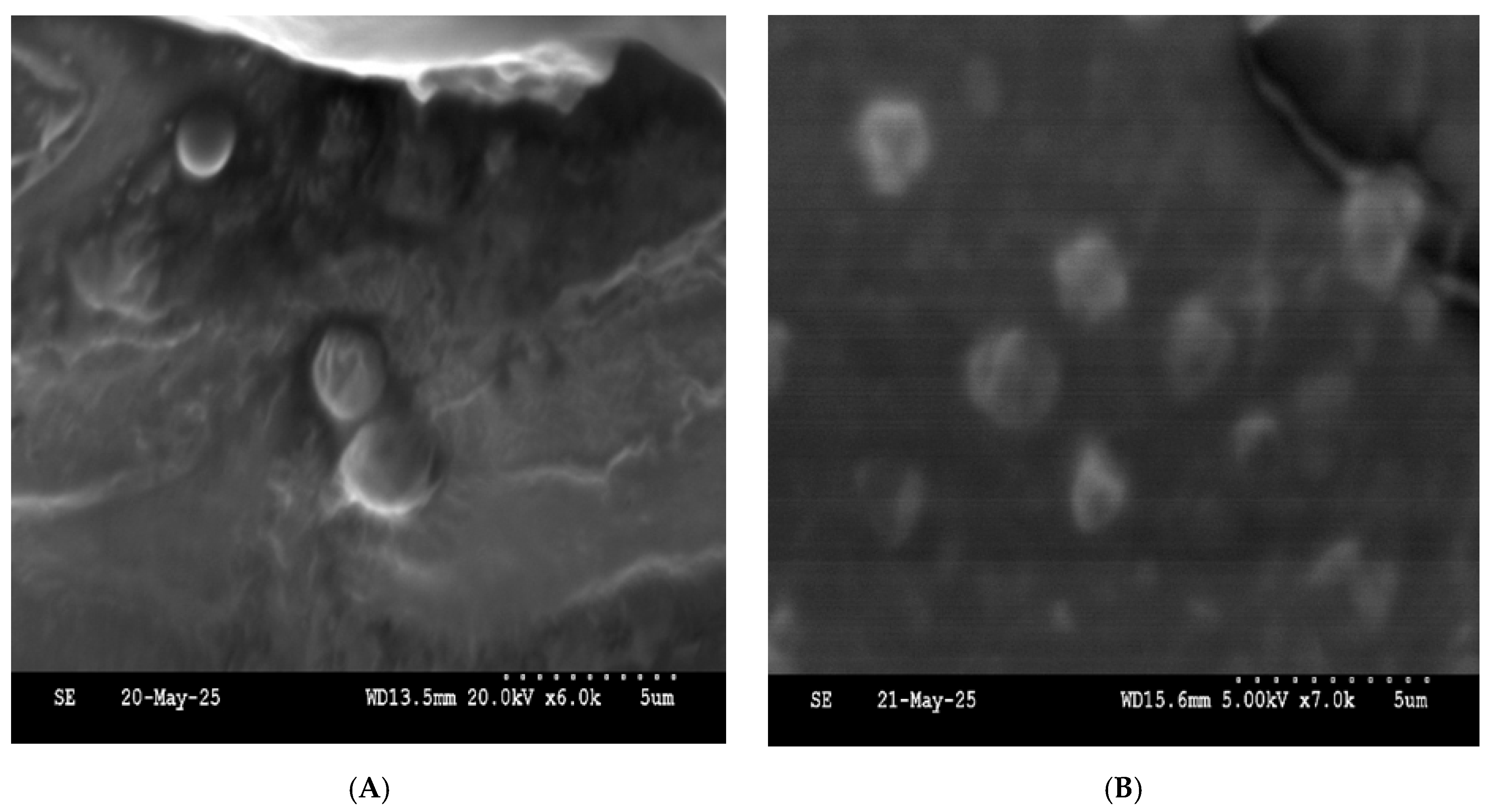 Molecules 30 03715 g006