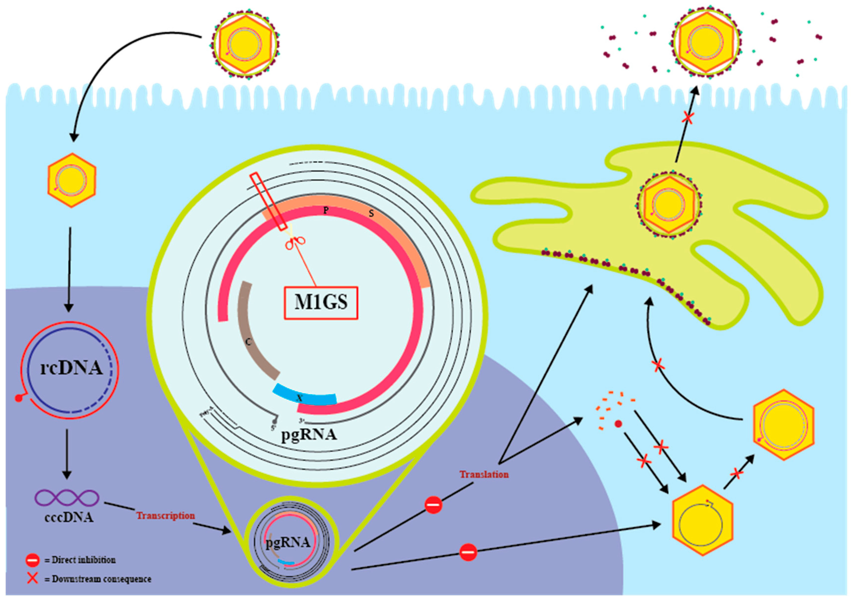 Molecules 30 03725 g001