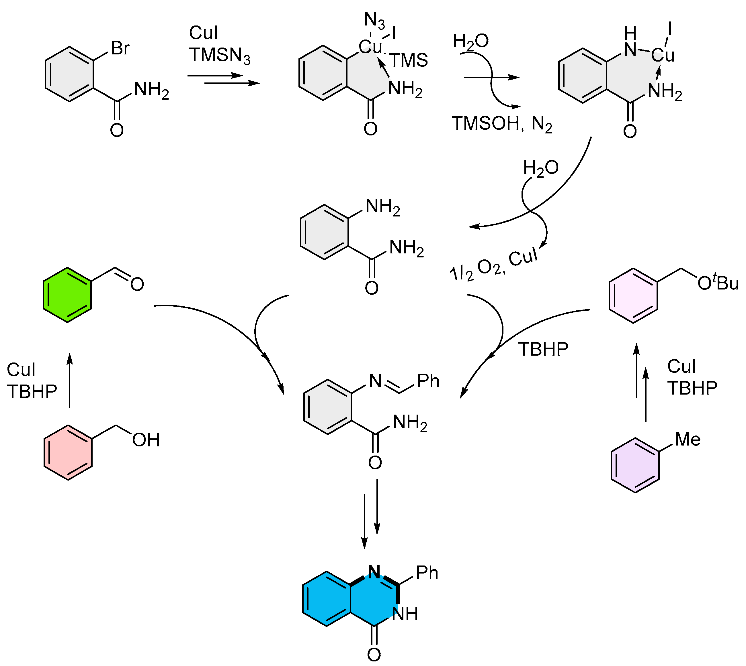 Molecules 30 03729 sch022