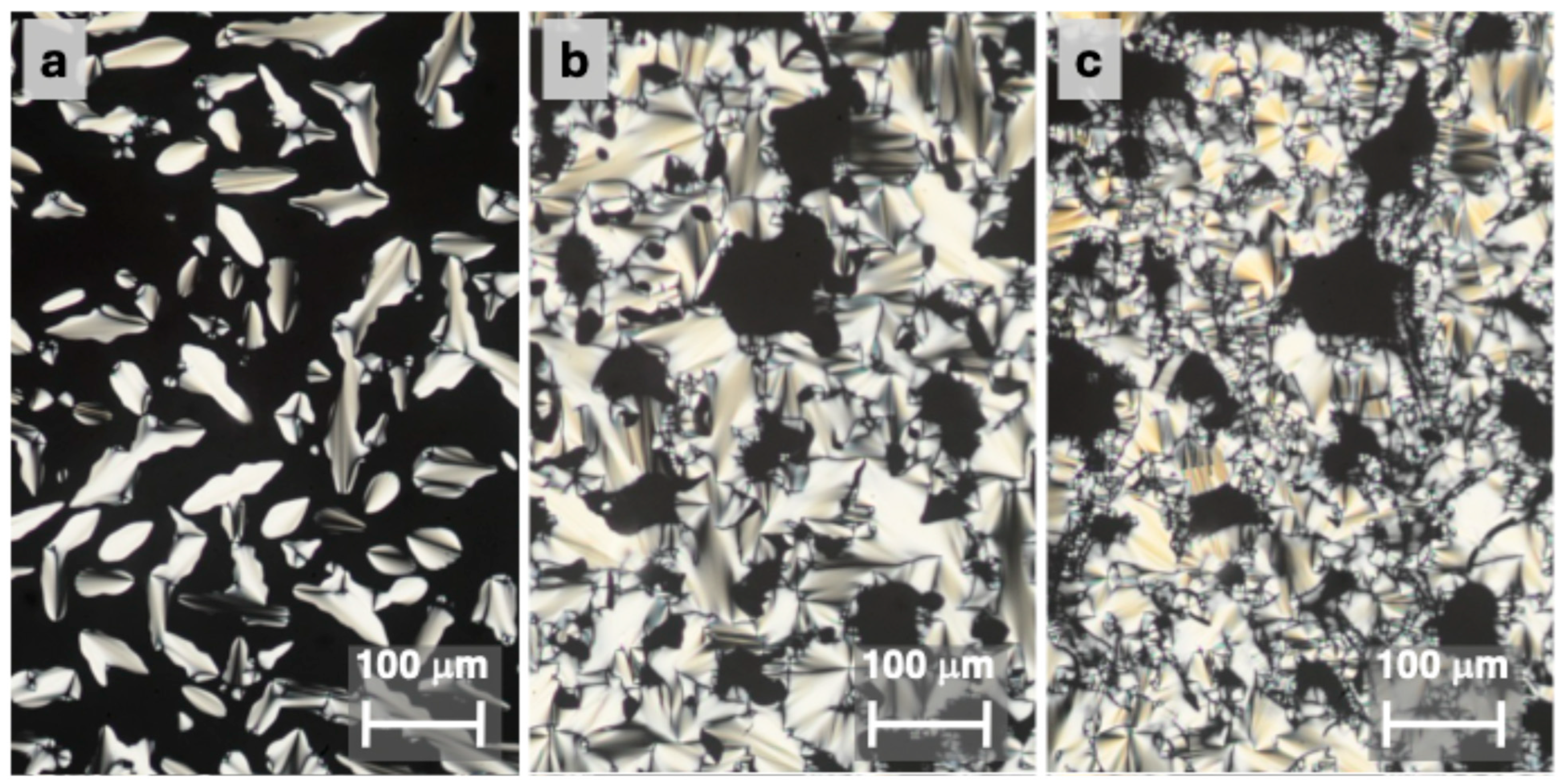 Molecules 30 03731 g006 Molecules 30 03731 g006