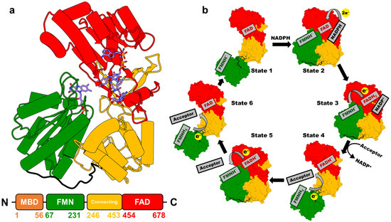 Molecules 30 03733 g002