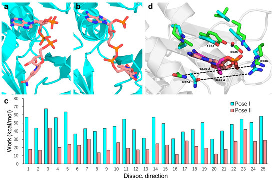 Molecules 30 03733 g004