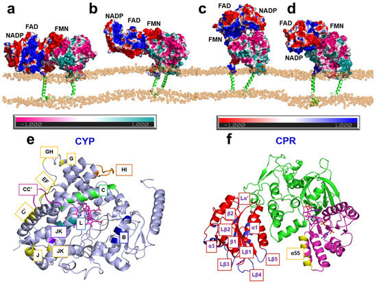 Molecules 30 03733 g006