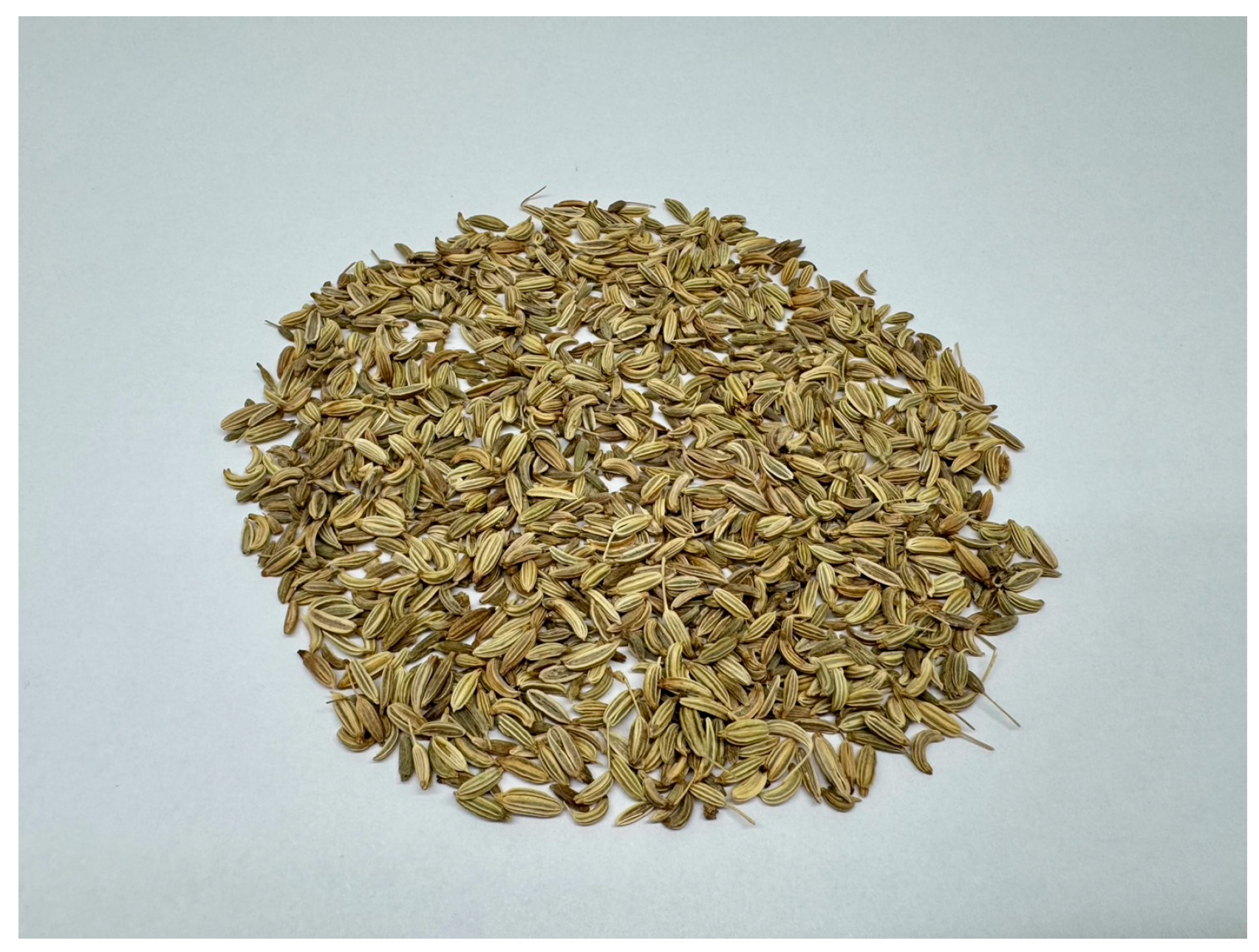 Molecules 30 03734 g001 Molecules 30 03734 g001