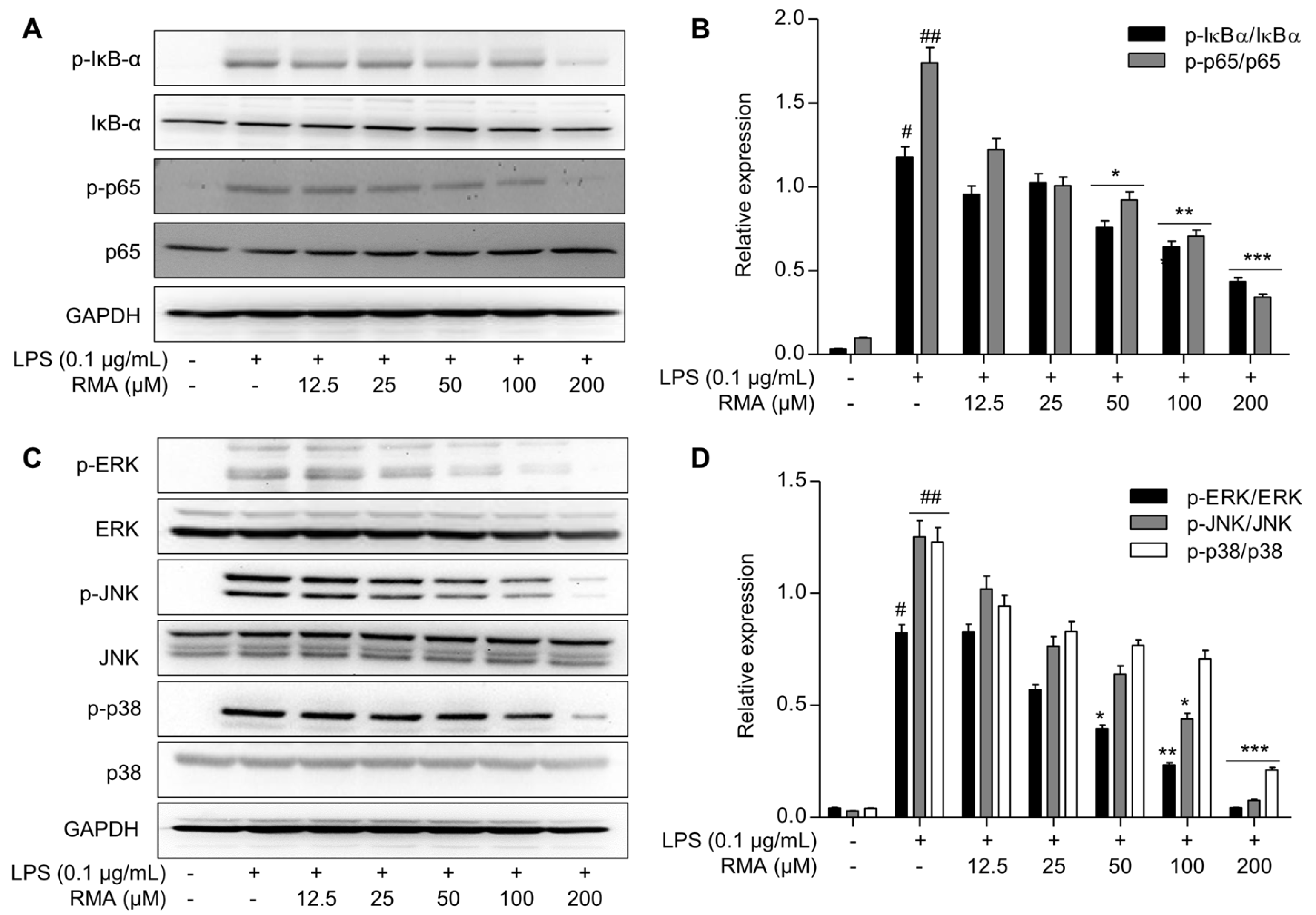 Molecules 30 03752 g003