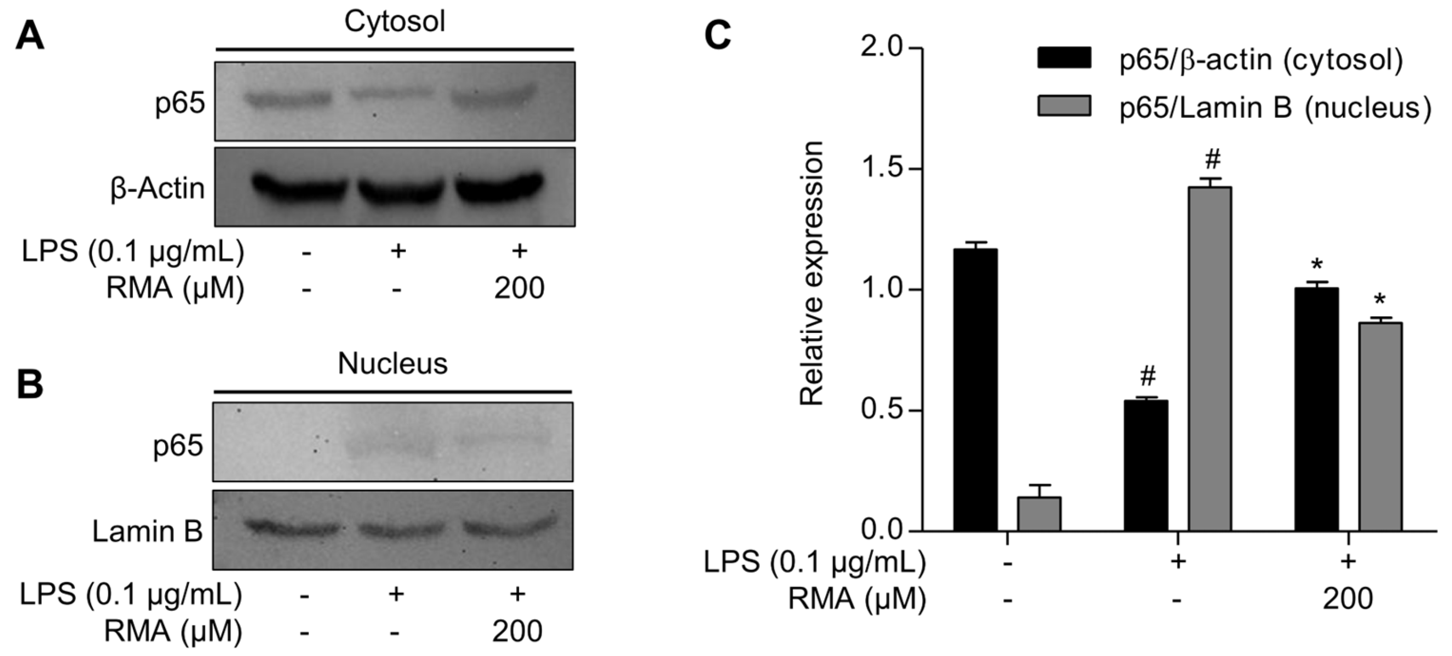 Molecules 30 03752 g004