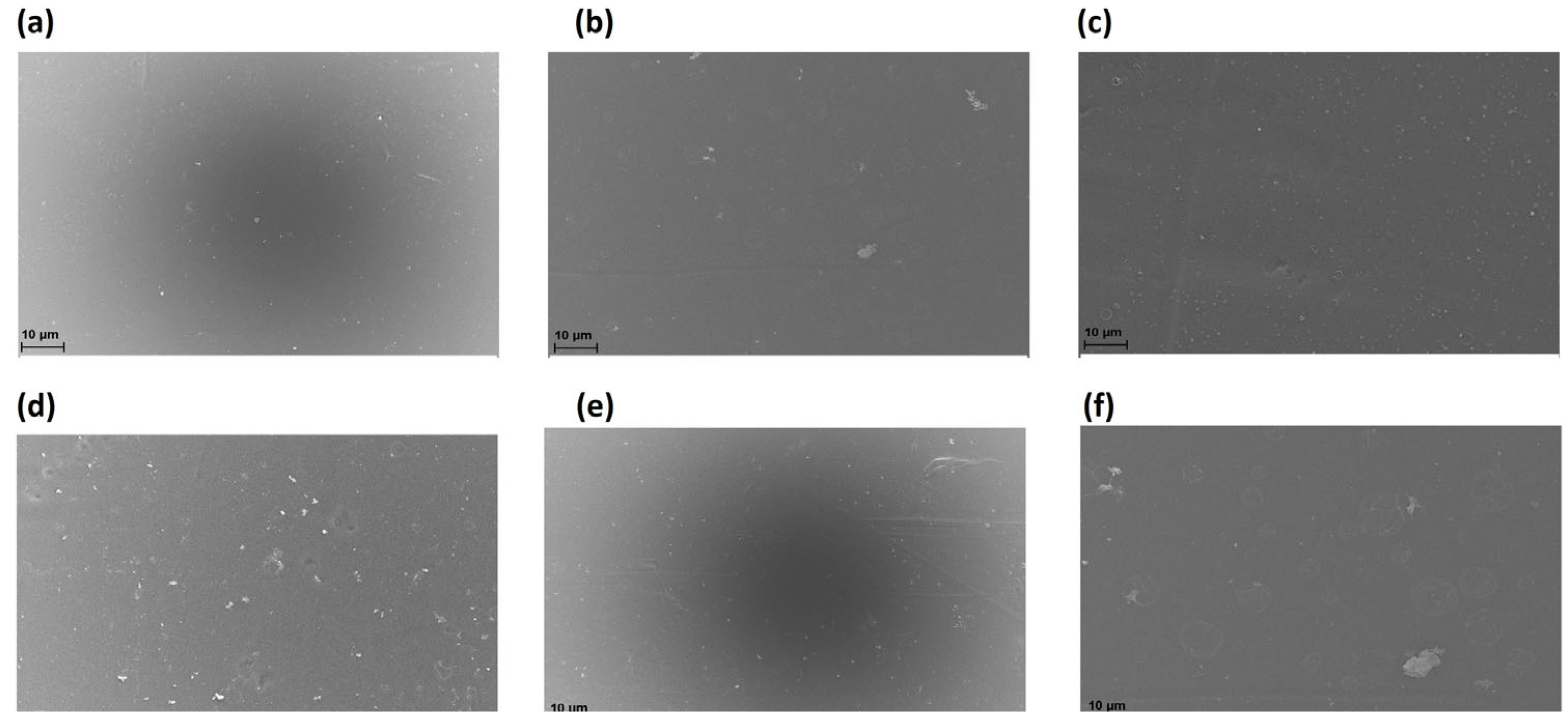 Molecules 30 03759 g003 Molecules 30 03759 g003