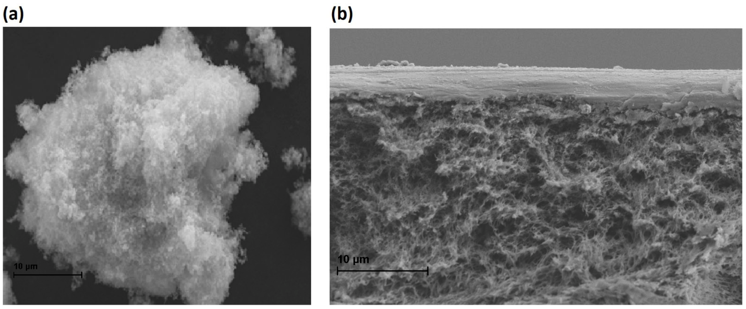 Molecules 30 03759 g004 Molecules 30 03759 g004