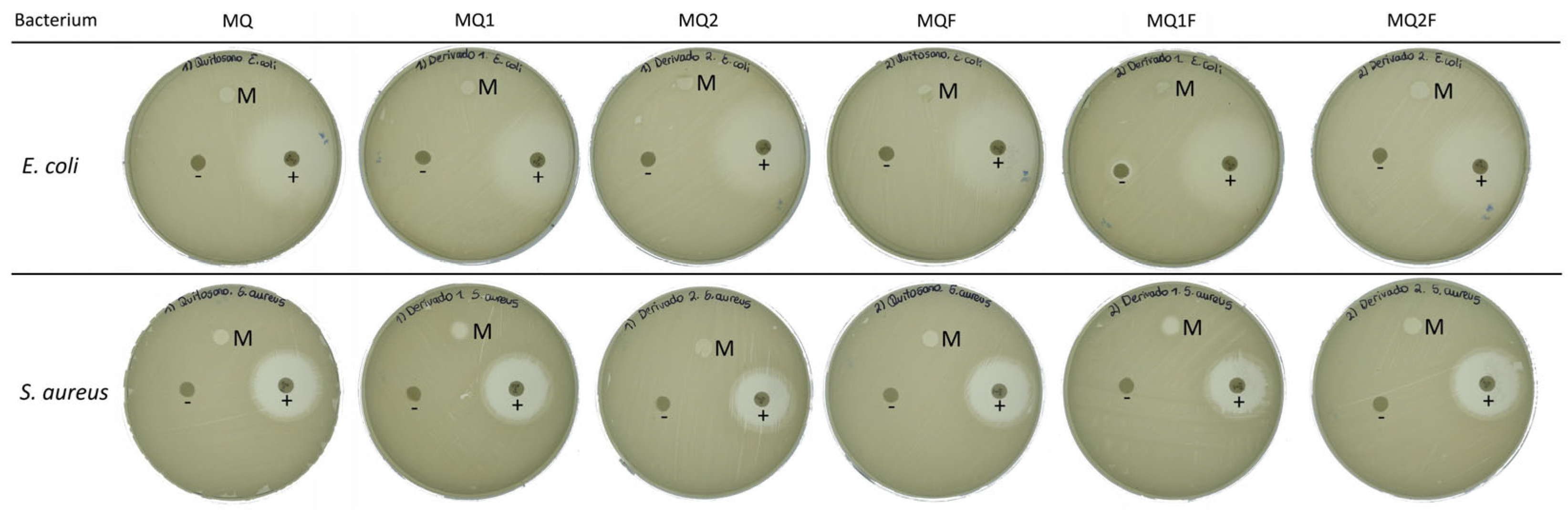 Molecules 30 03759 g006 Molecules 30 03759 g006