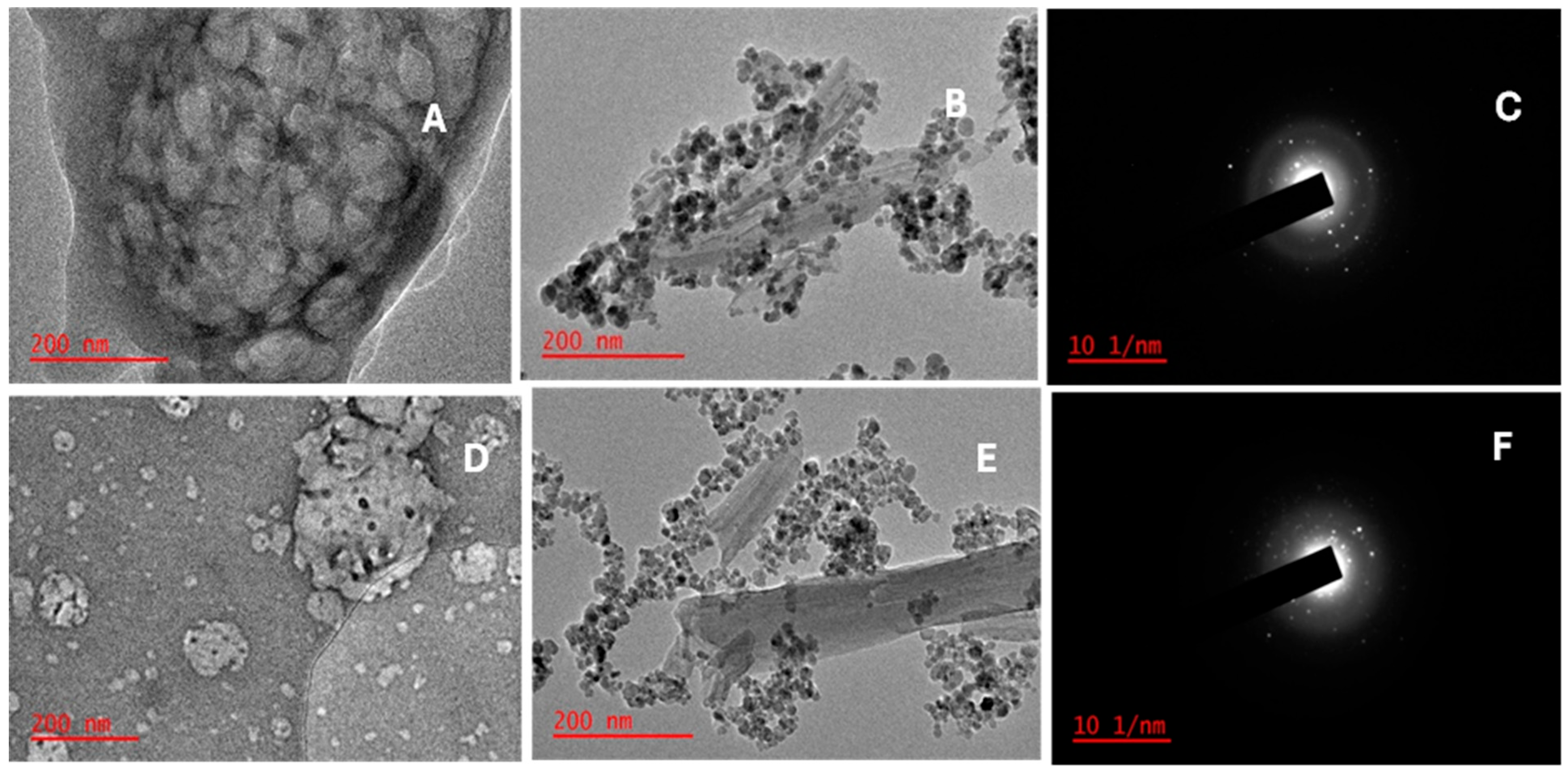 Molecules 30 03777 g002 Molecules 30 03777 g002
