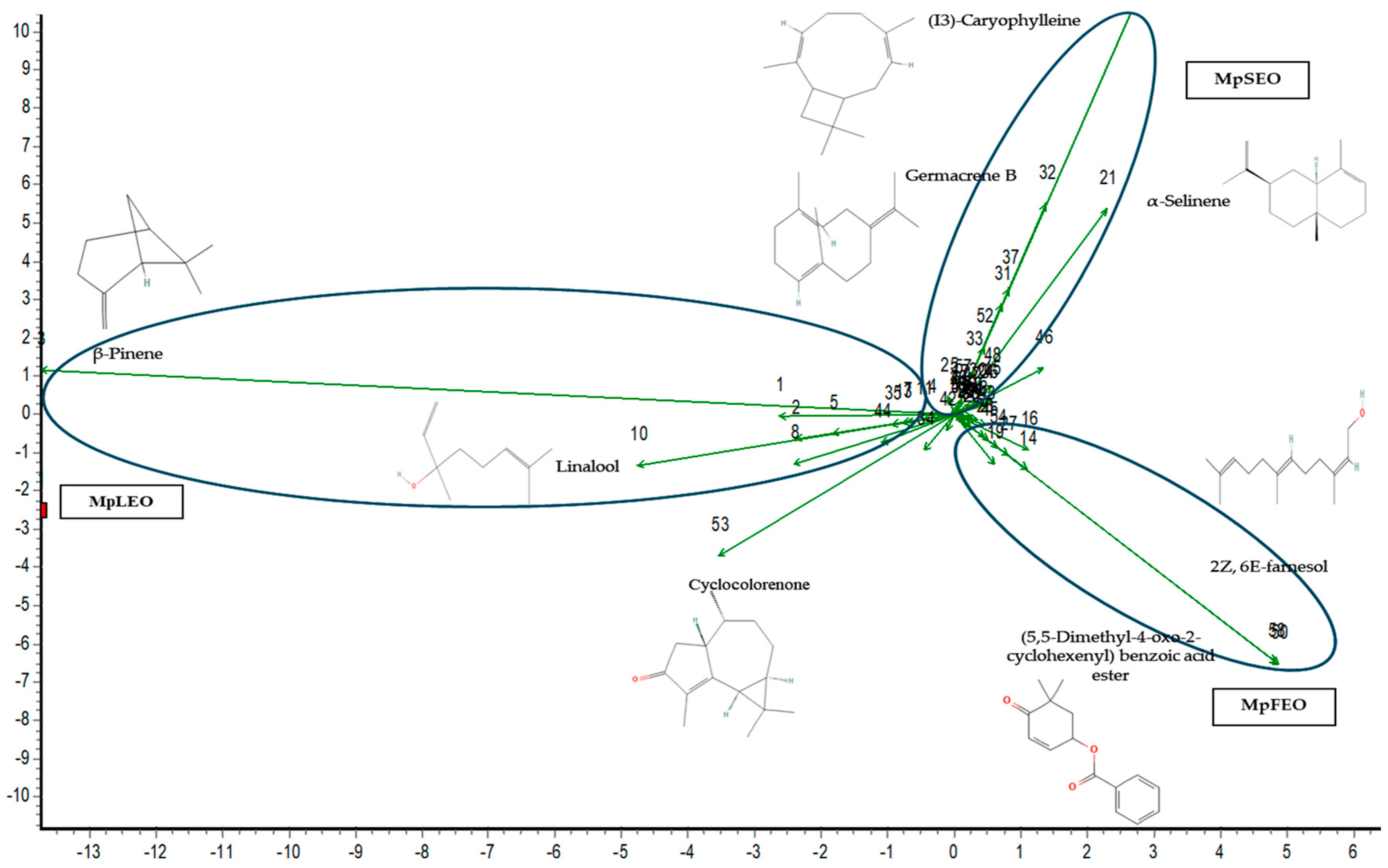 Molecules 30 03778 g003 Molecules 30 03778 g003