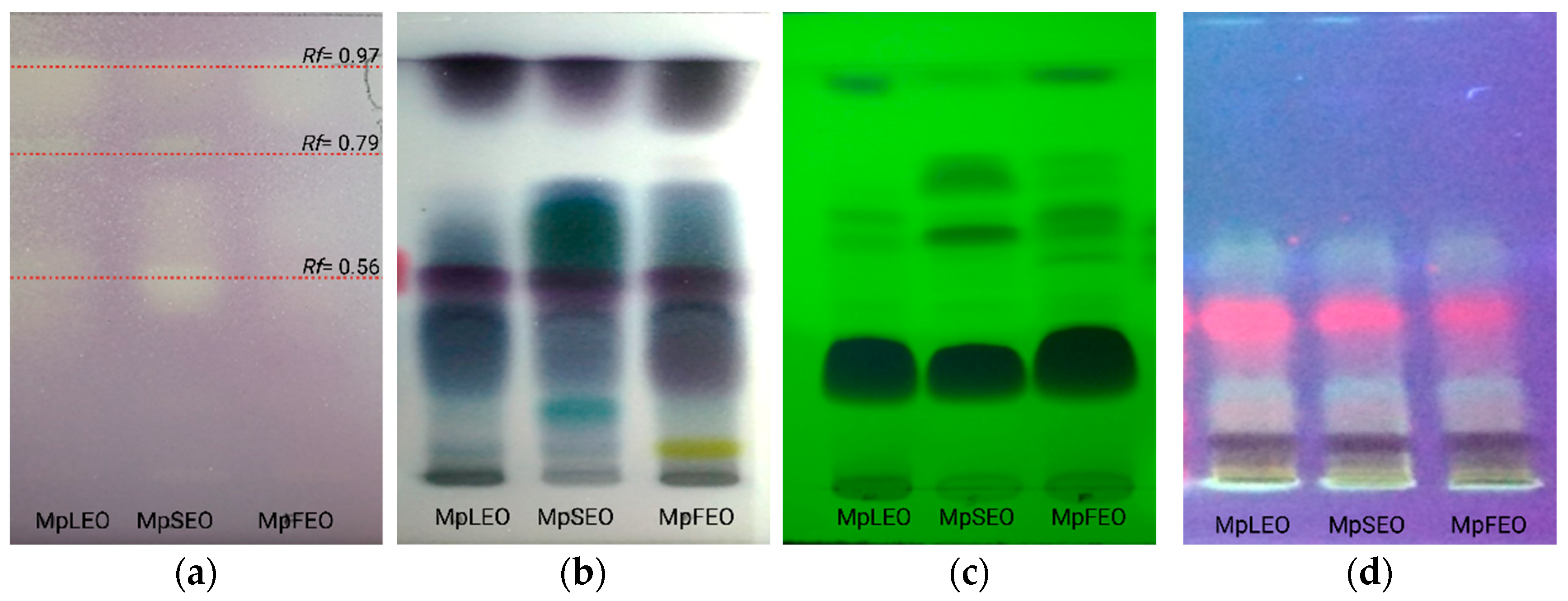 Molecules 30 03778 g004 Molecules 30 03778 g004