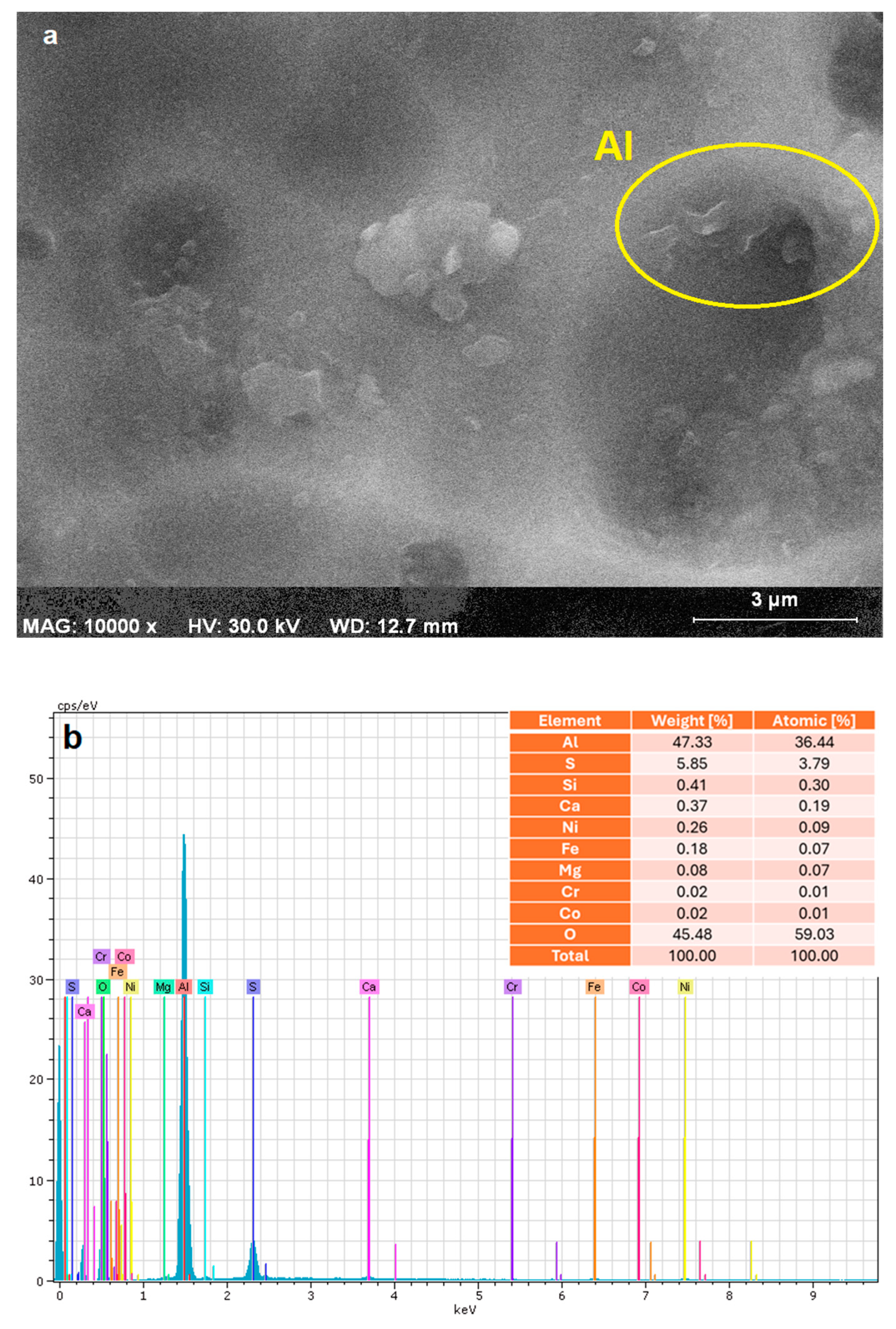 Molecules 30 03779 g001