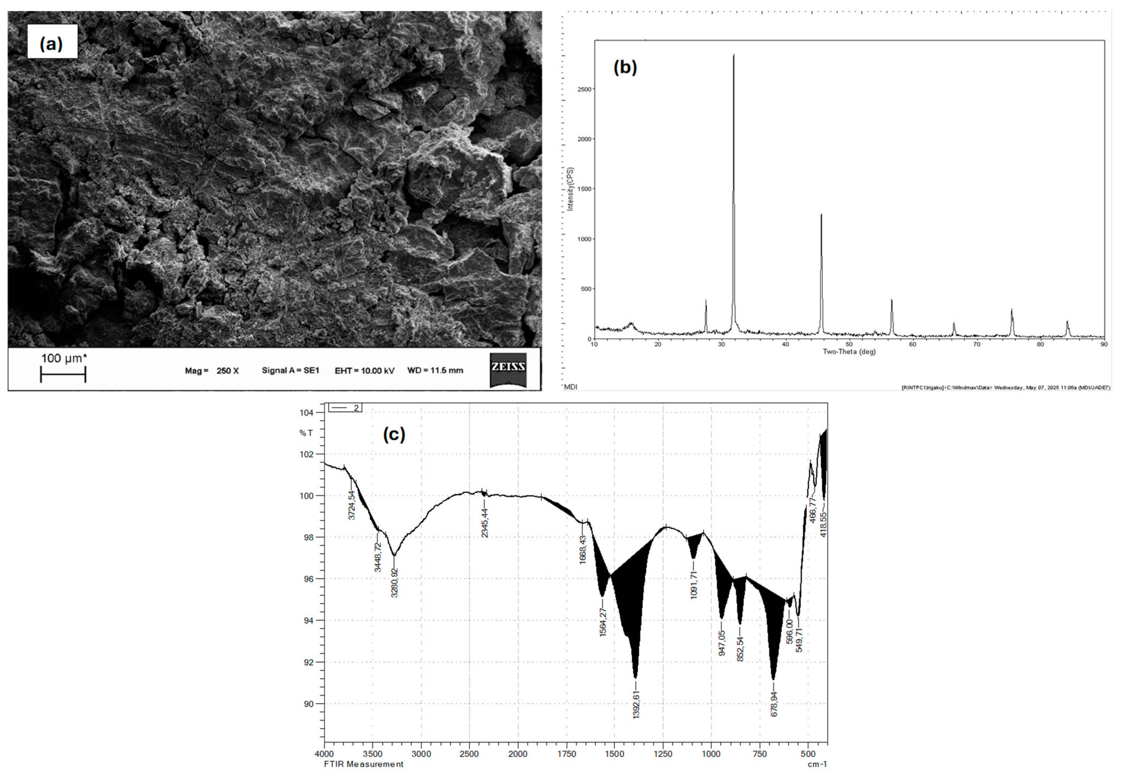 Molecules 30 03779 g006