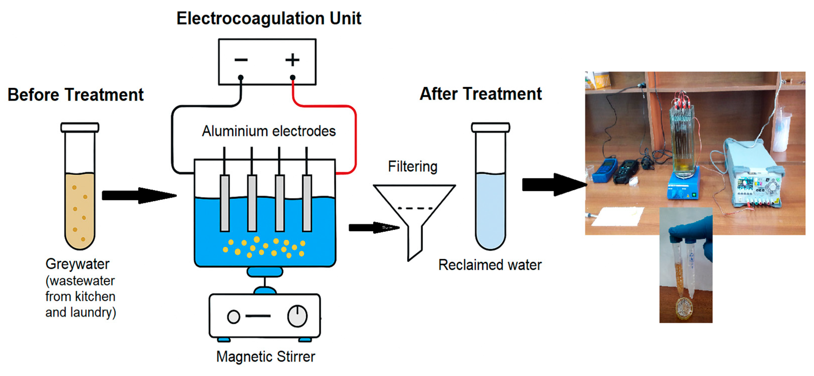 Molecules 30 03779 g007