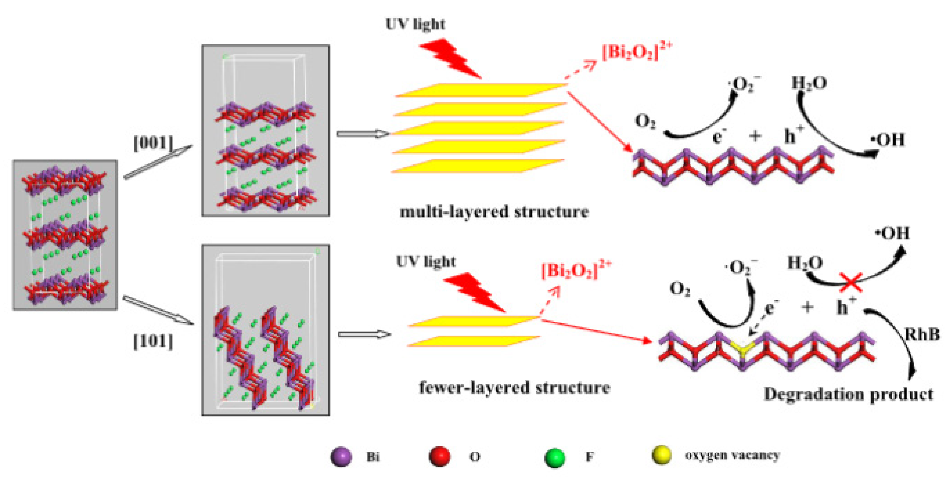 Molecules 30 03784 g012 Molecules 30 03784 g012