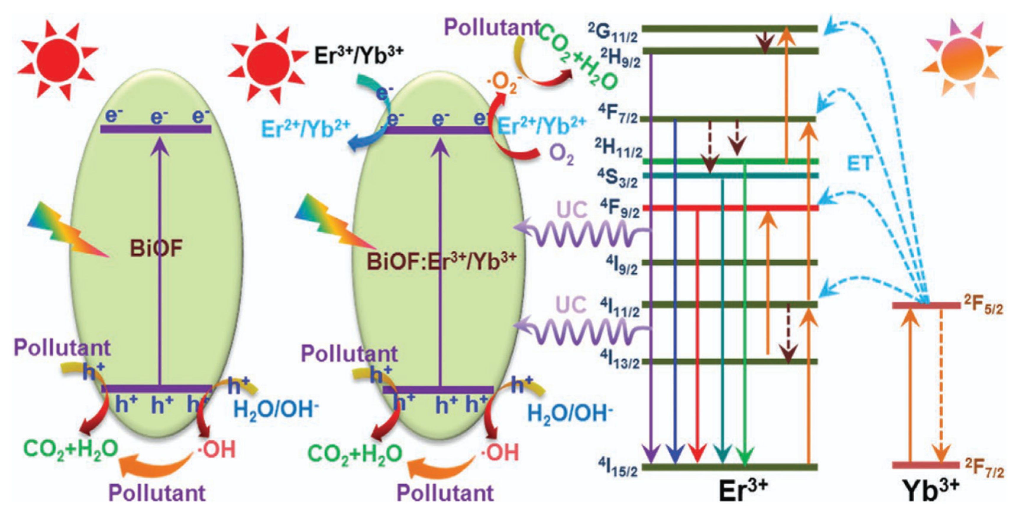Molecules 30 03784 g013 Molecules 30 03784 g013