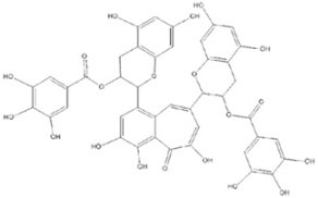 Molecules 30 03791 i008 Molecules 30 03791 i008