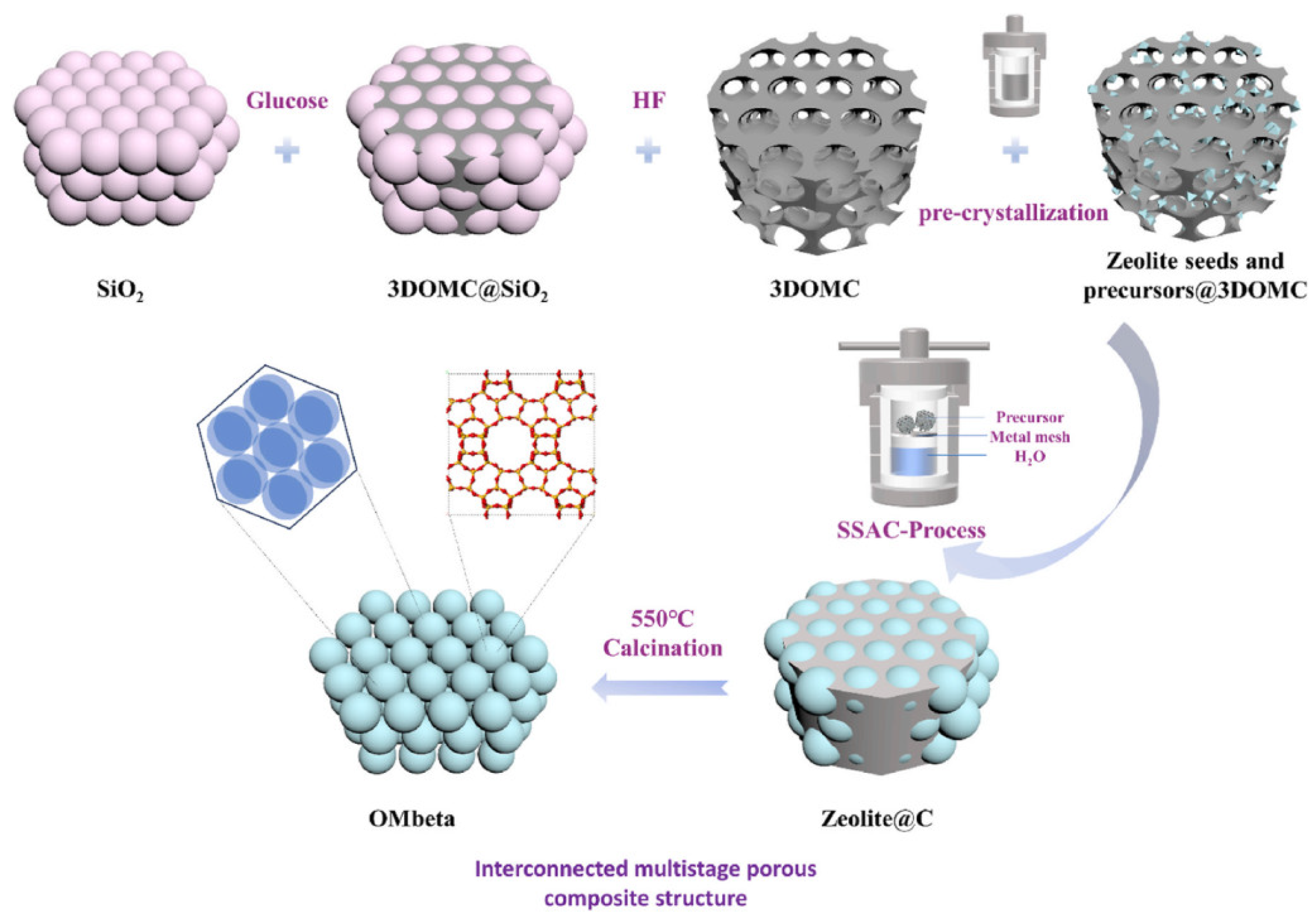 Molecules 30 03798 g006