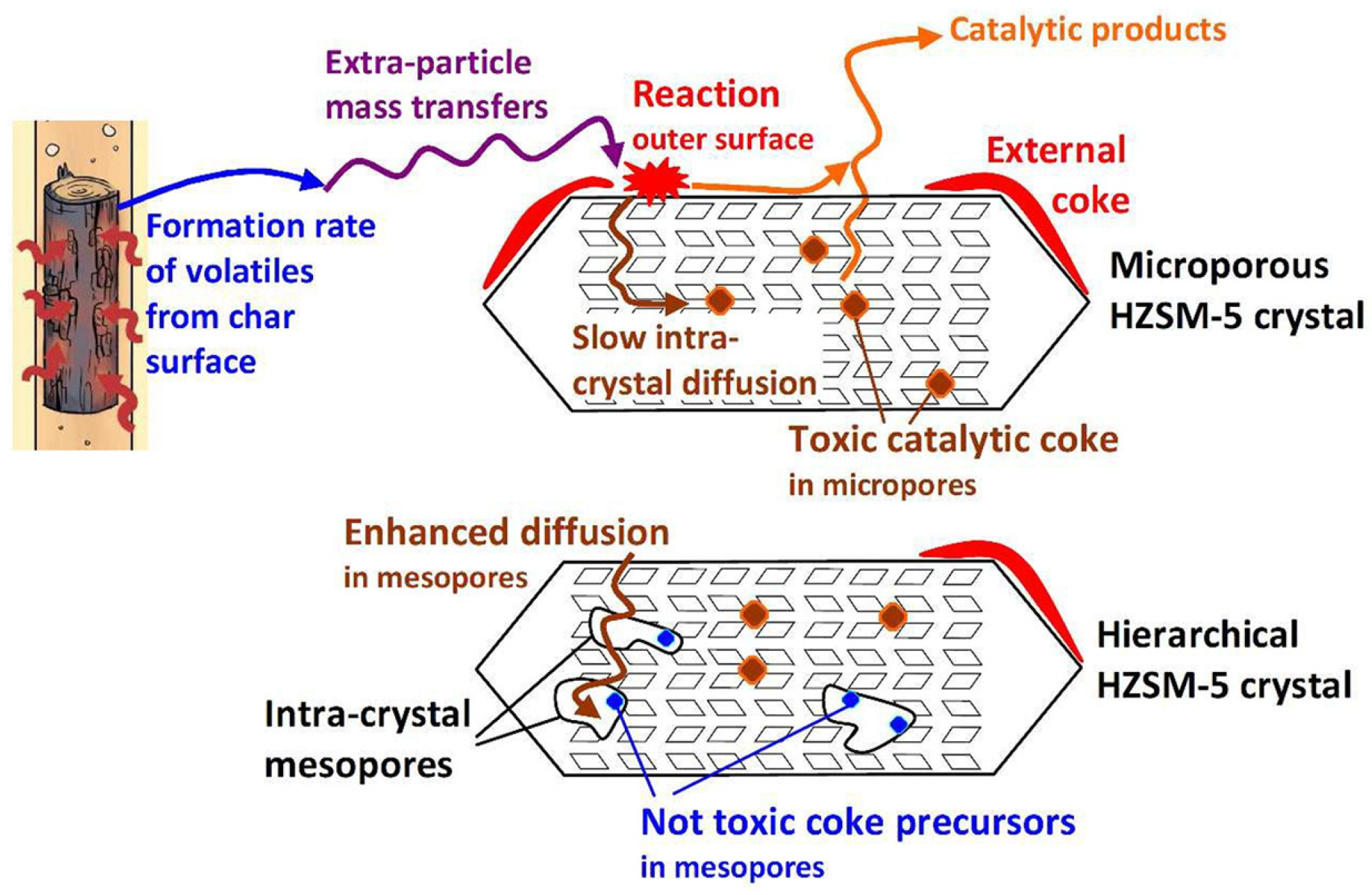 Molecules 30 03798 g010