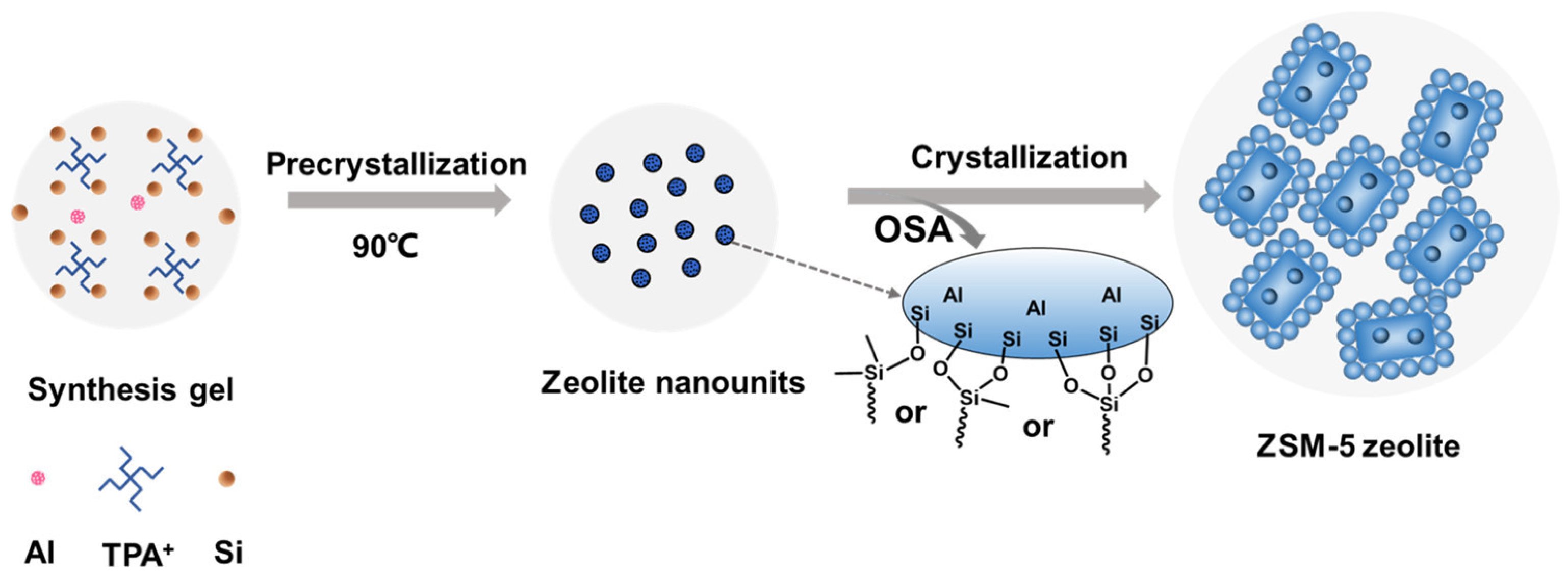 Molecules 30 03798 g012
