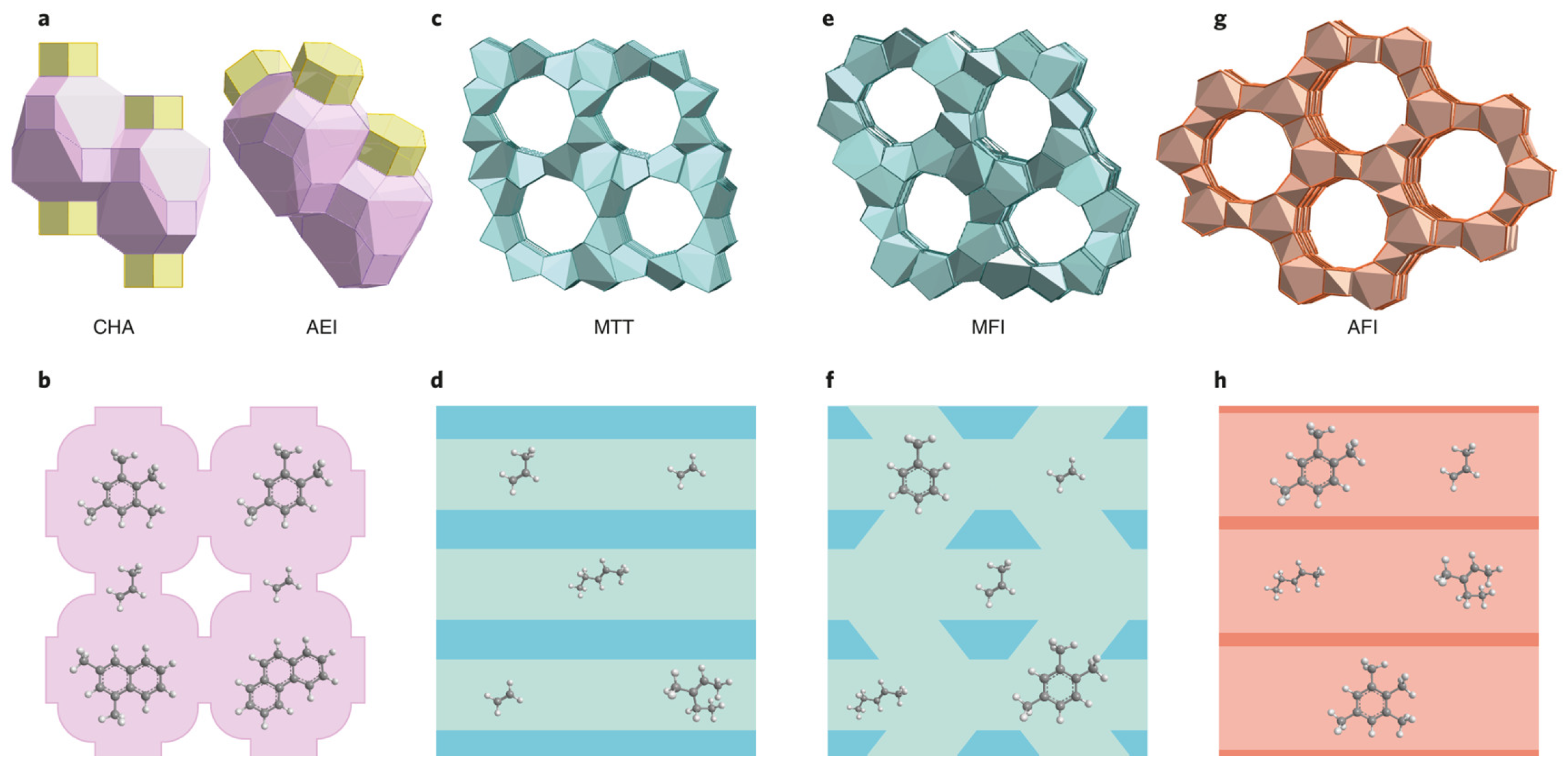 Molecules 30 03798 g018