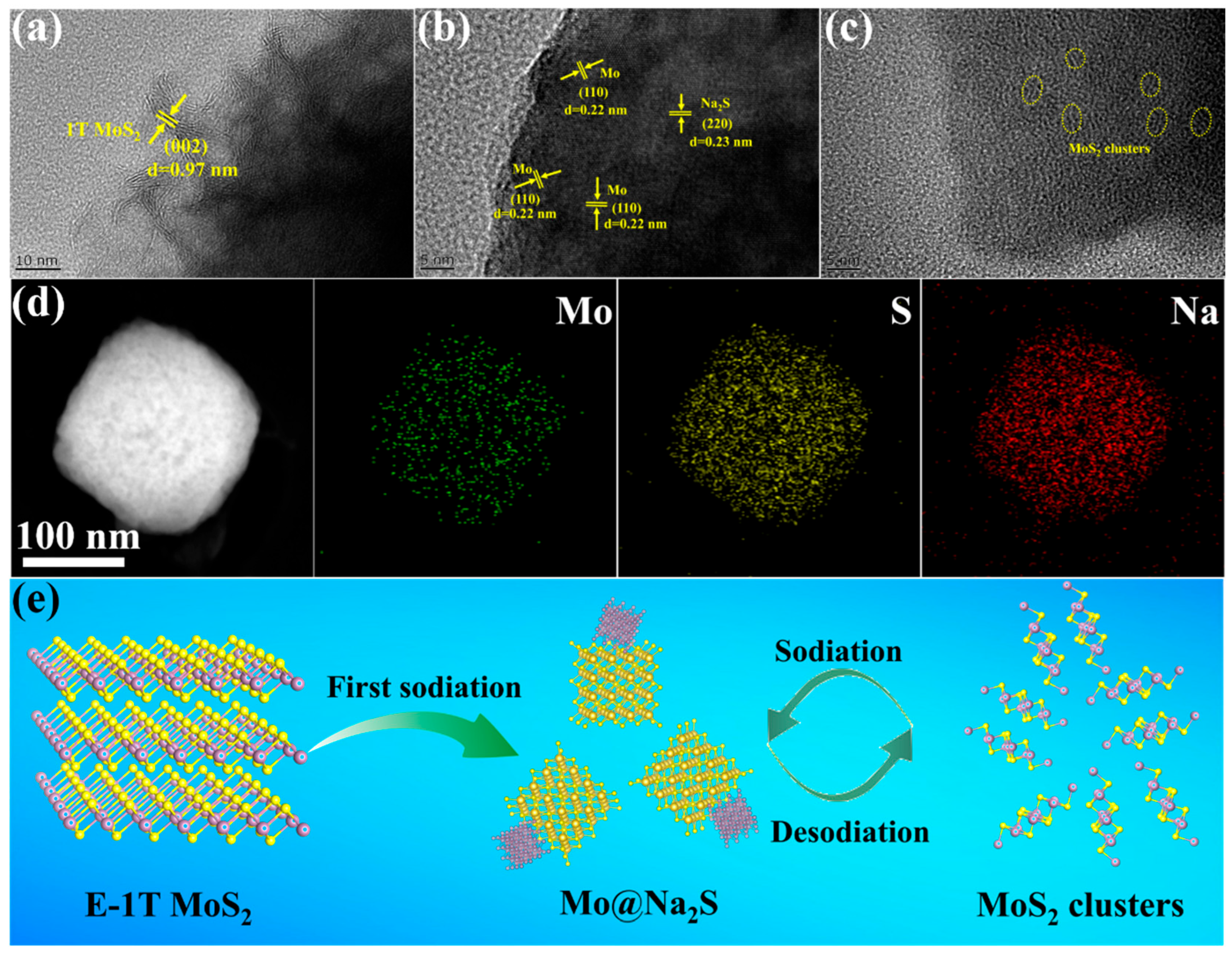 Molecules 30 03801 g005 Molecules 30 03801 g005