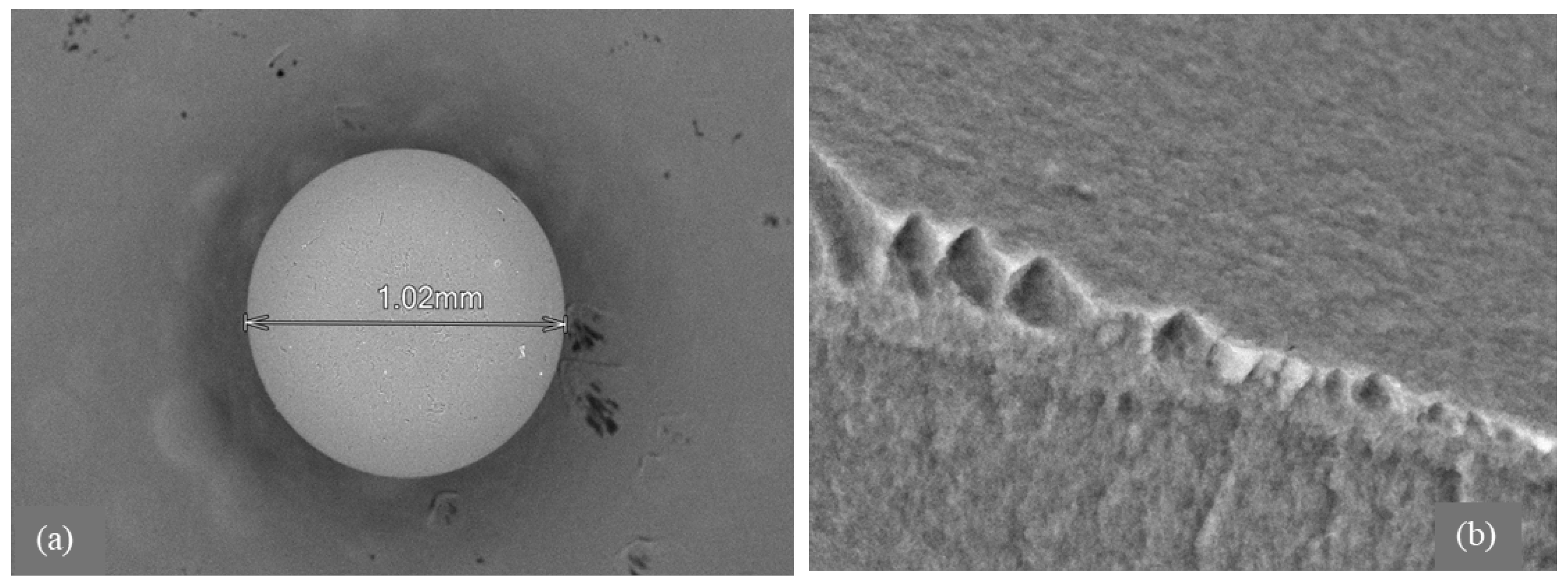 Molecules 30 03803 g002a