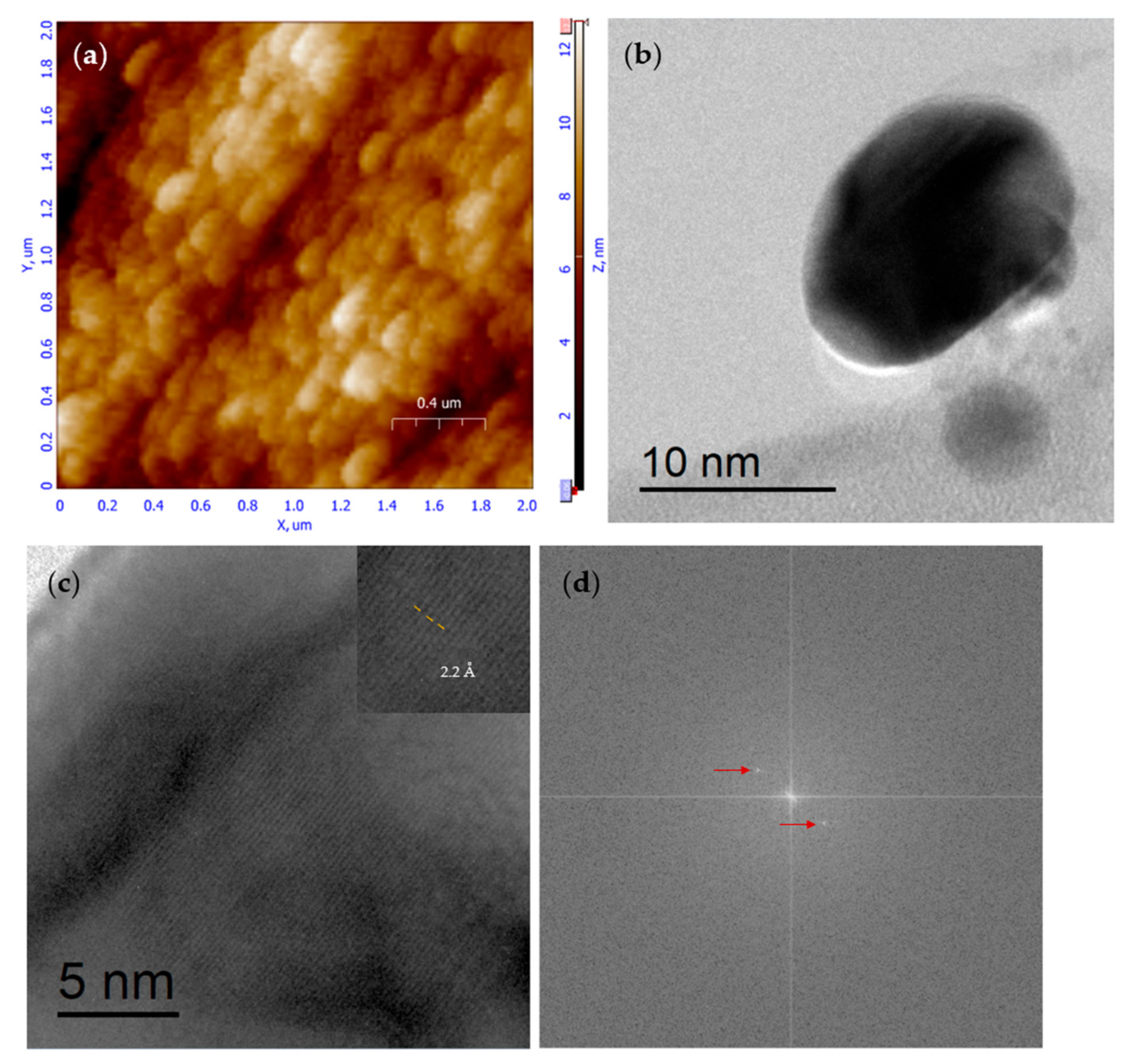 Molecules 30 03815 g001 Molecules 30 03815 g001