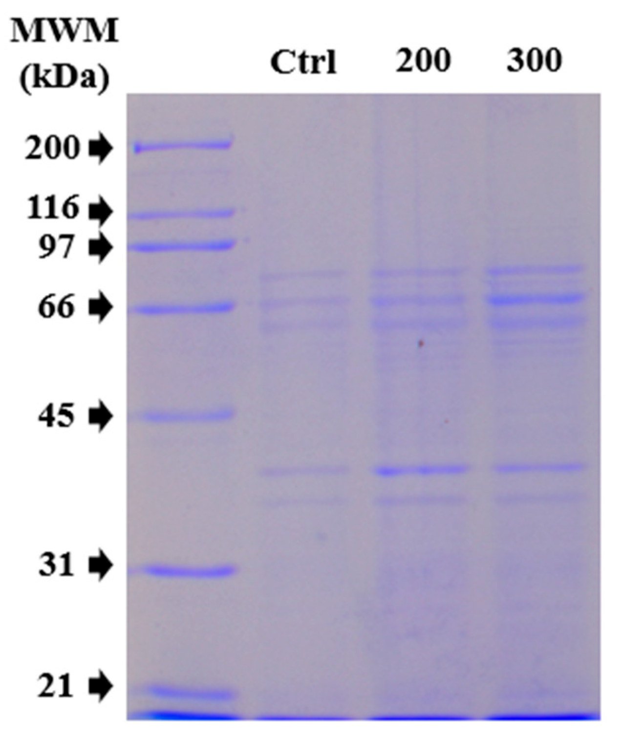 Molecules 30 03815 g004 Molecules 30 03815 g004