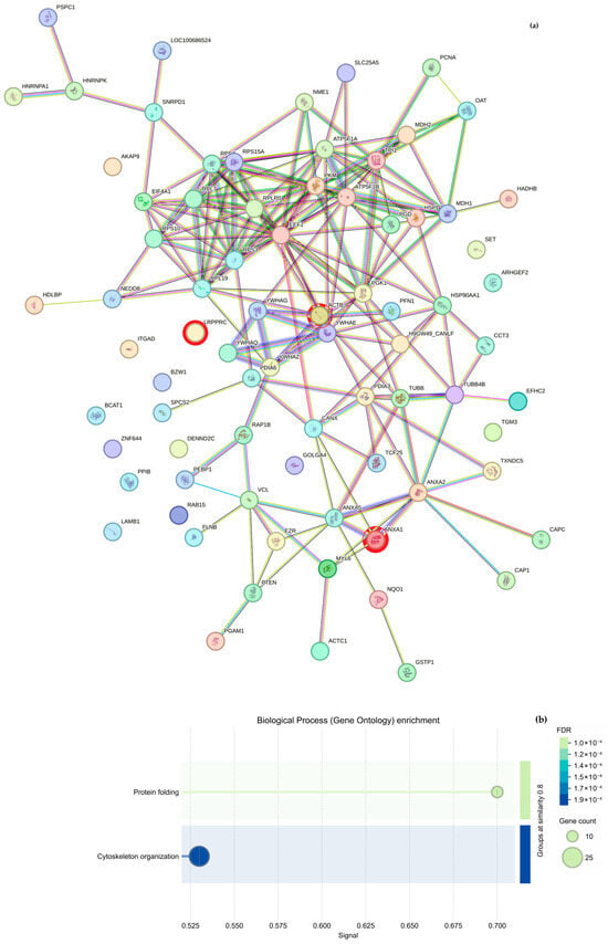 Molecules 30 03815 g006a Molecules 30 03815 g006a