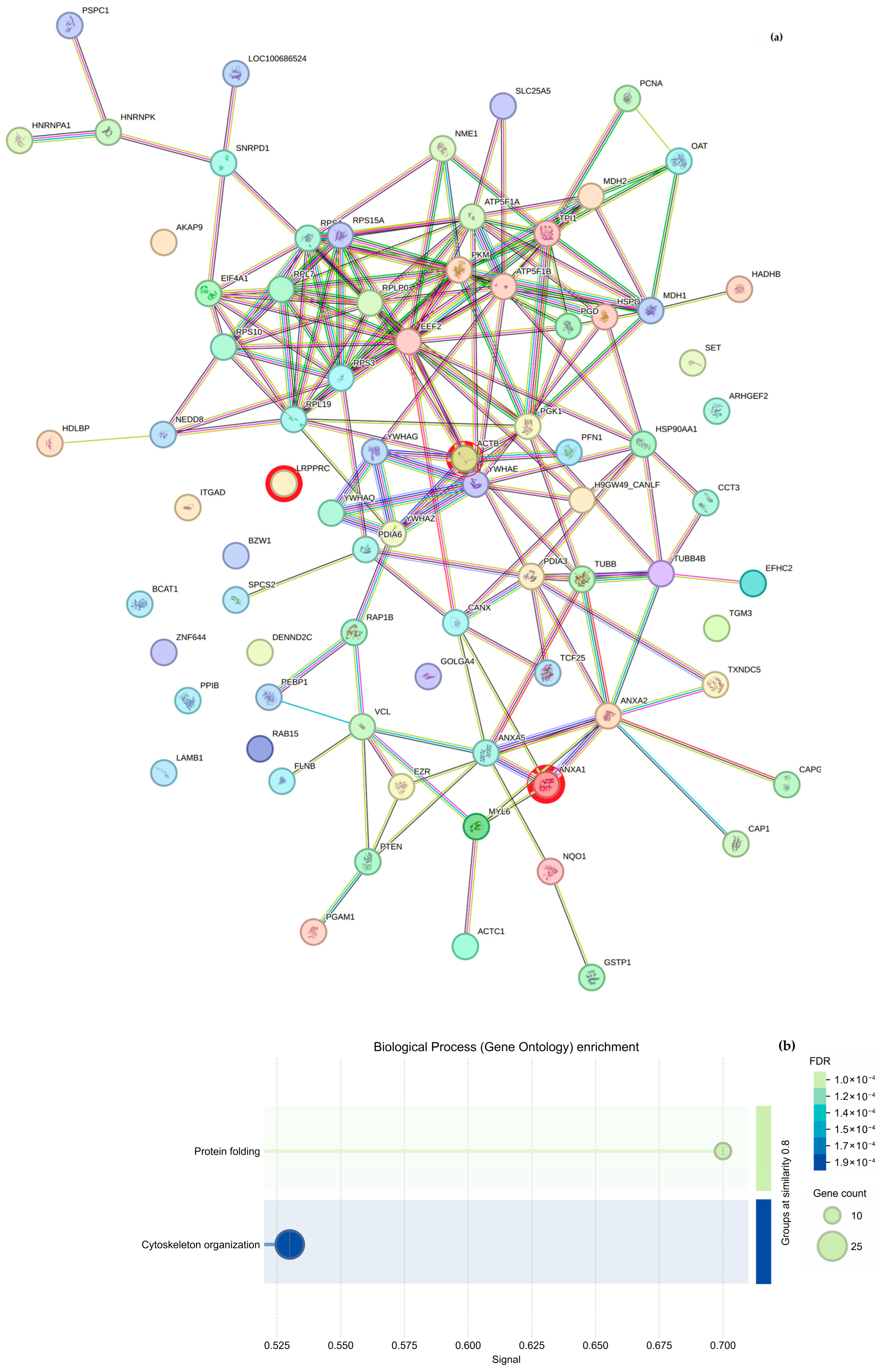 Molecules 30 03815 g006a Molecules 30 03815 g006a